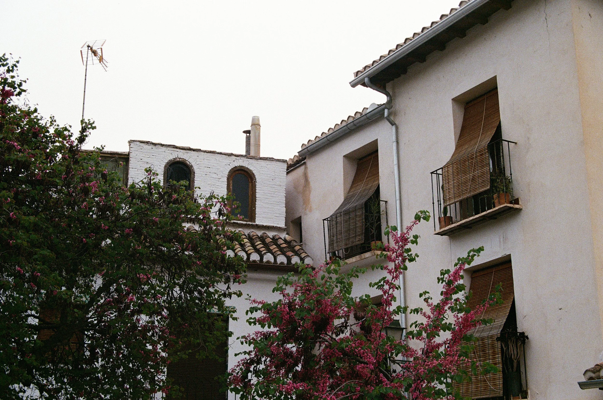 1241_25.jpg
