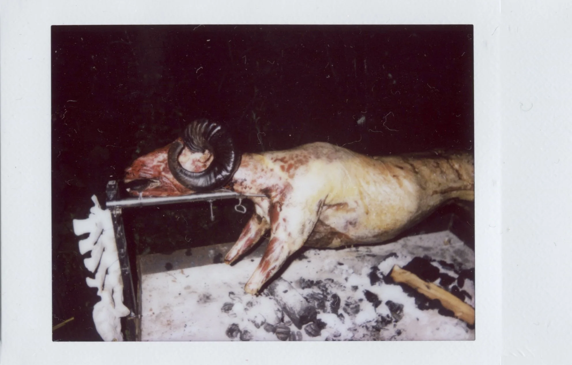 Scan 4.jpg