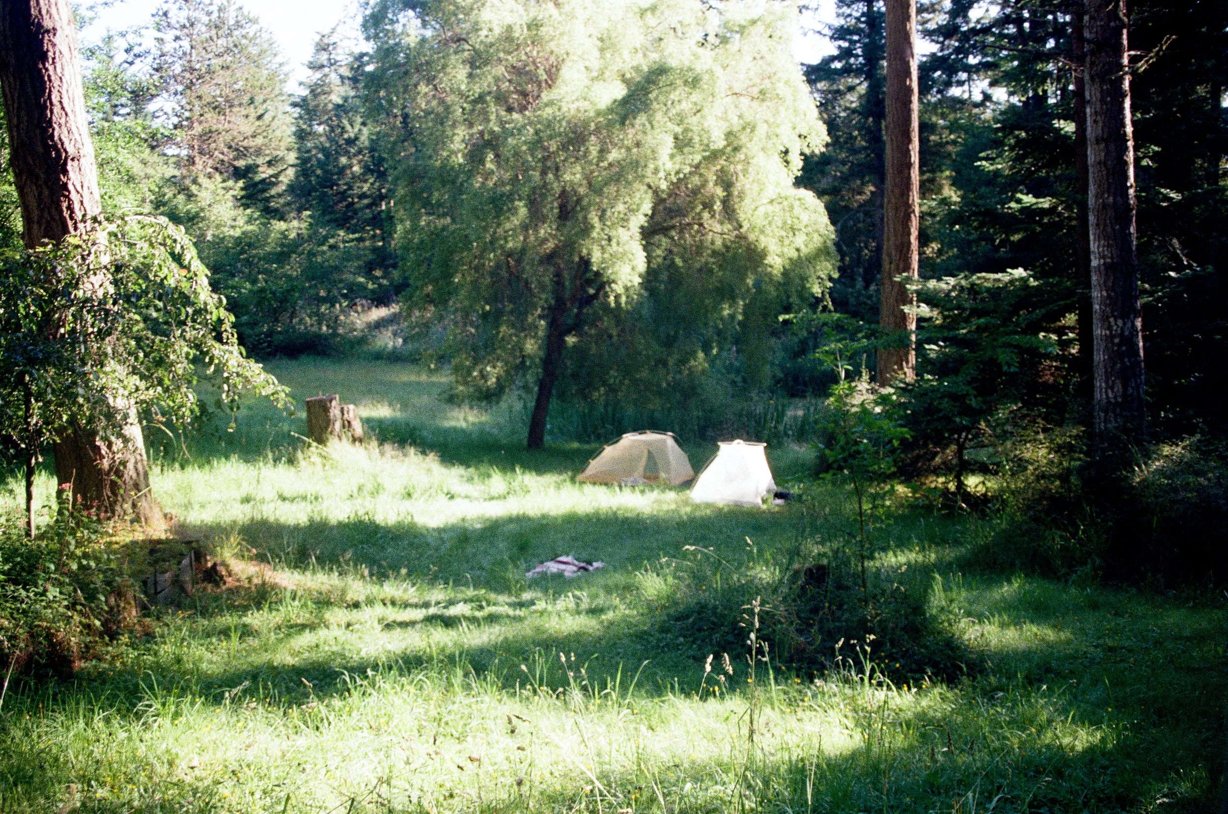 1240_29.jpg