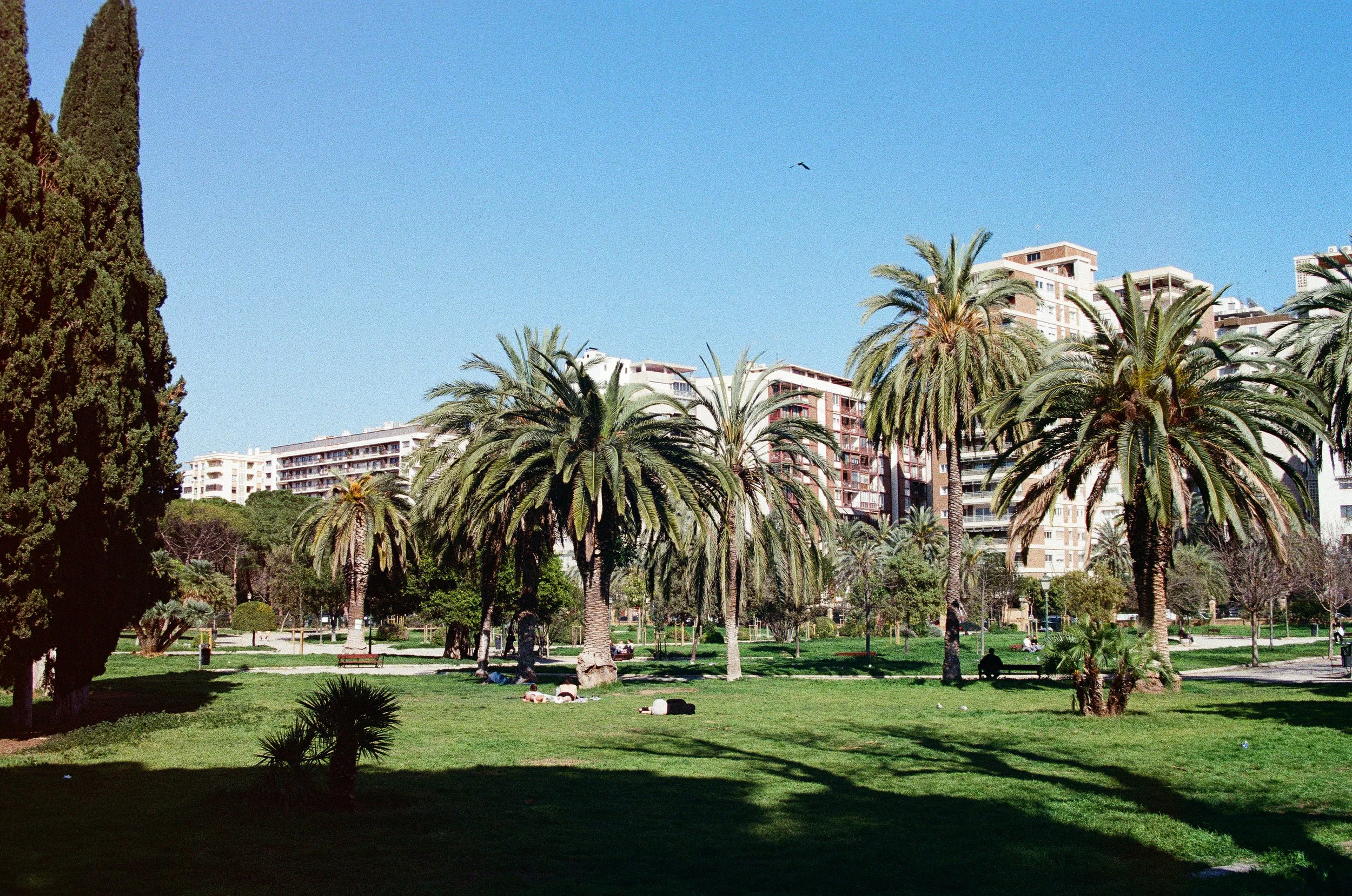 1242_11.jpg