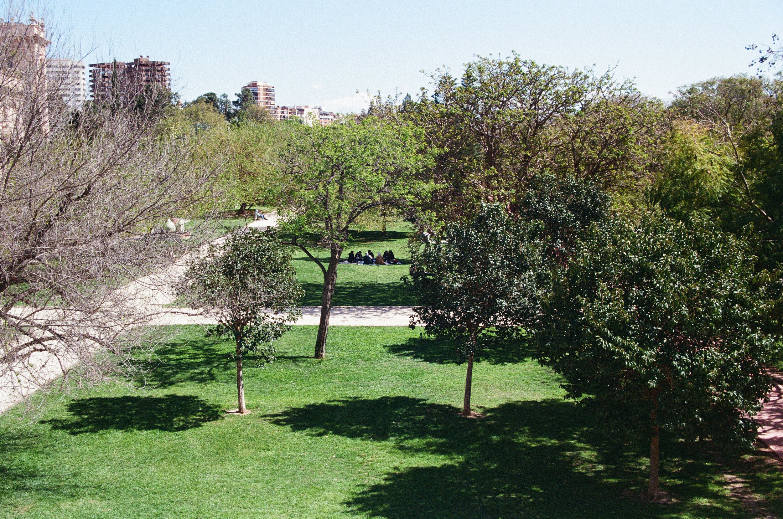 1242_20.jpg