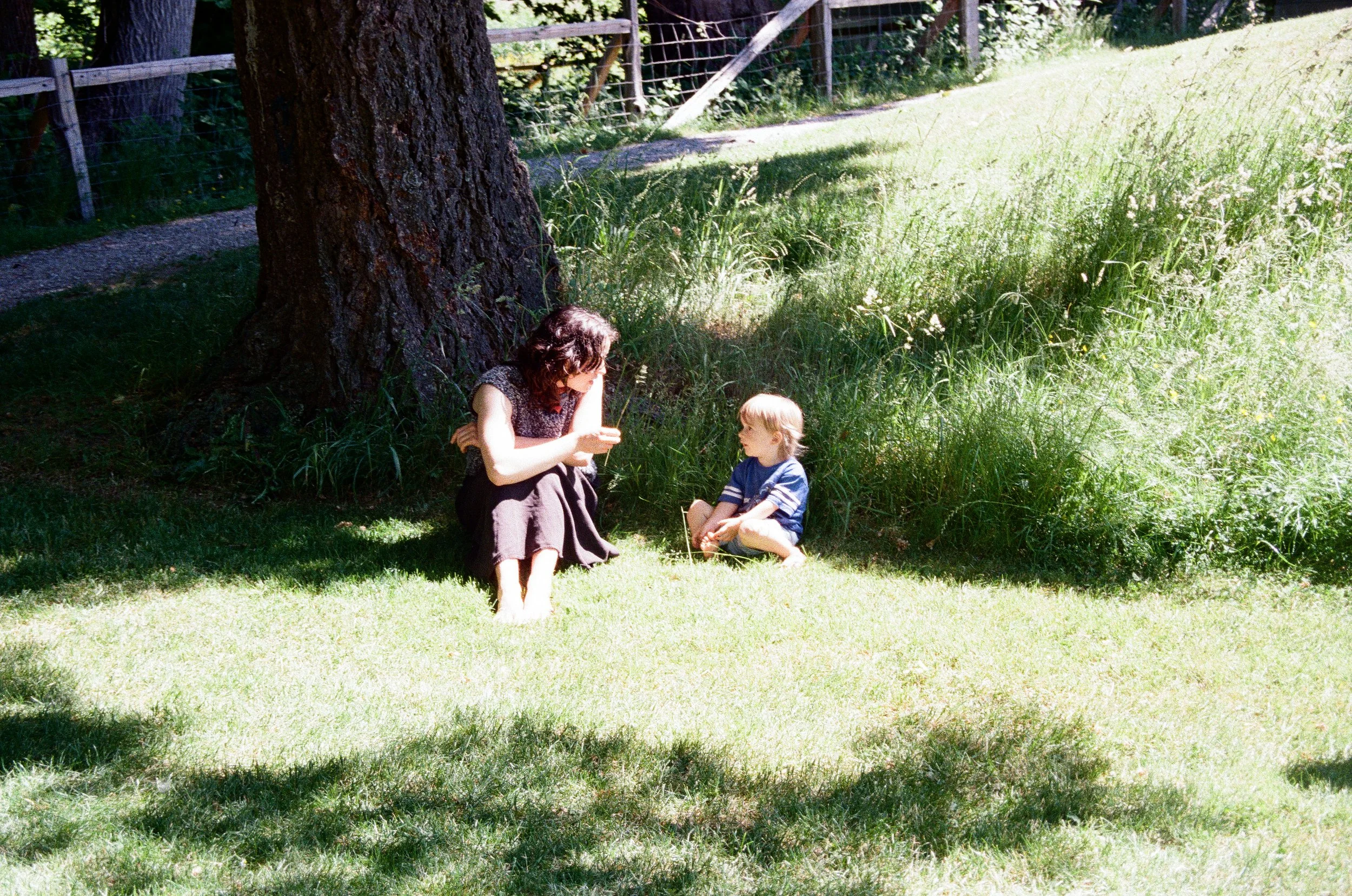 1240_06.jpg