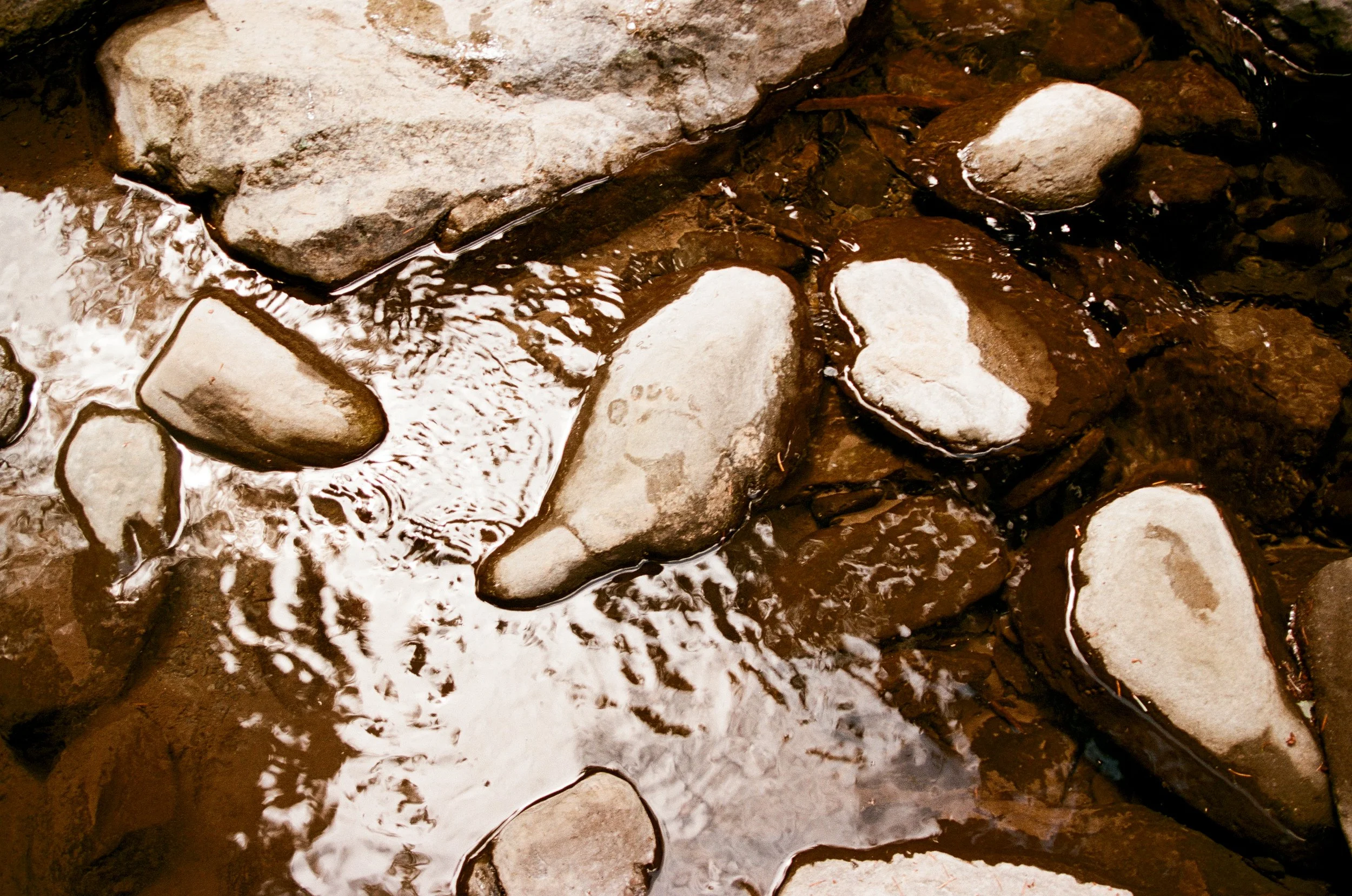 1243_24.jpg