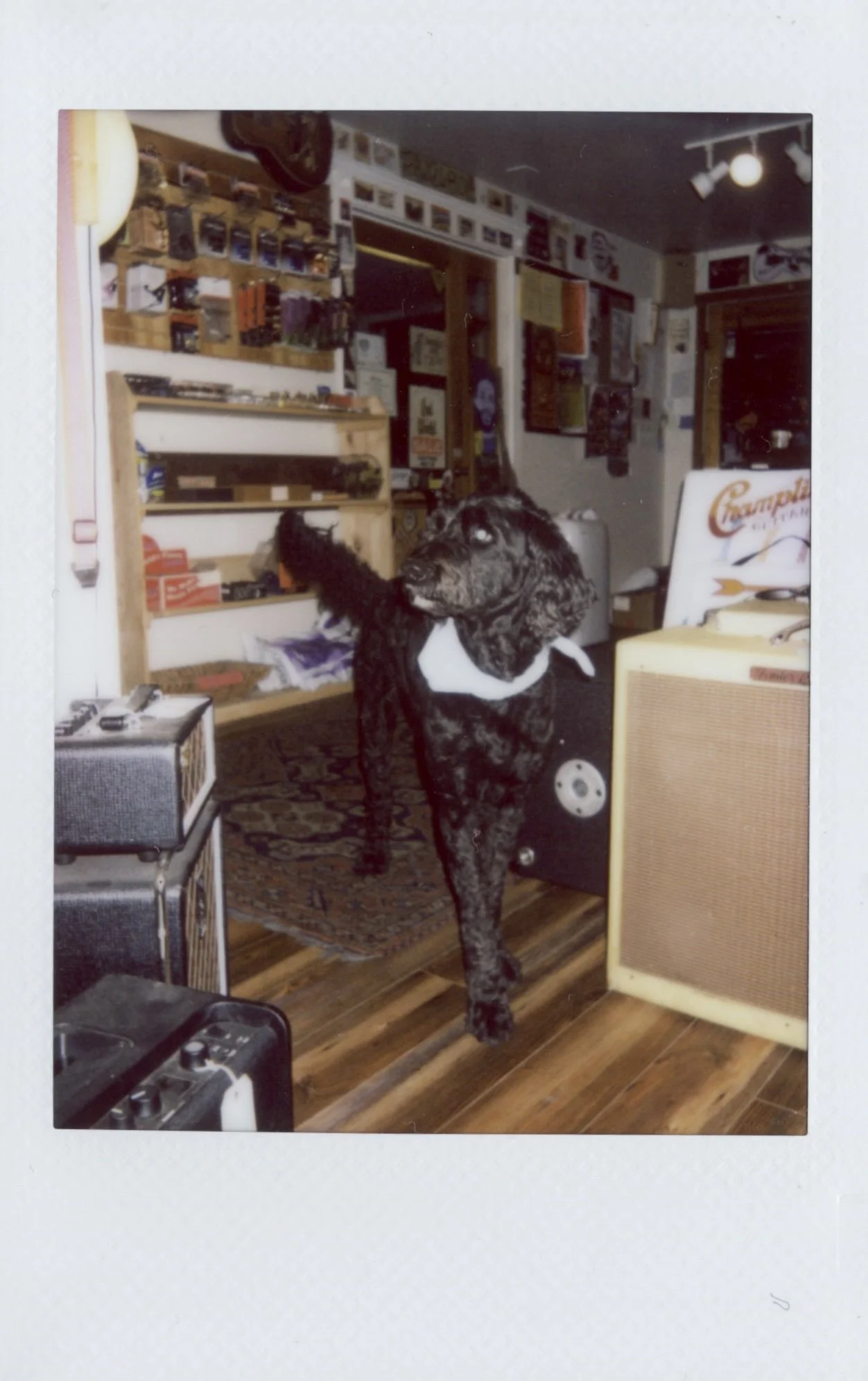 Scan 3.jpg