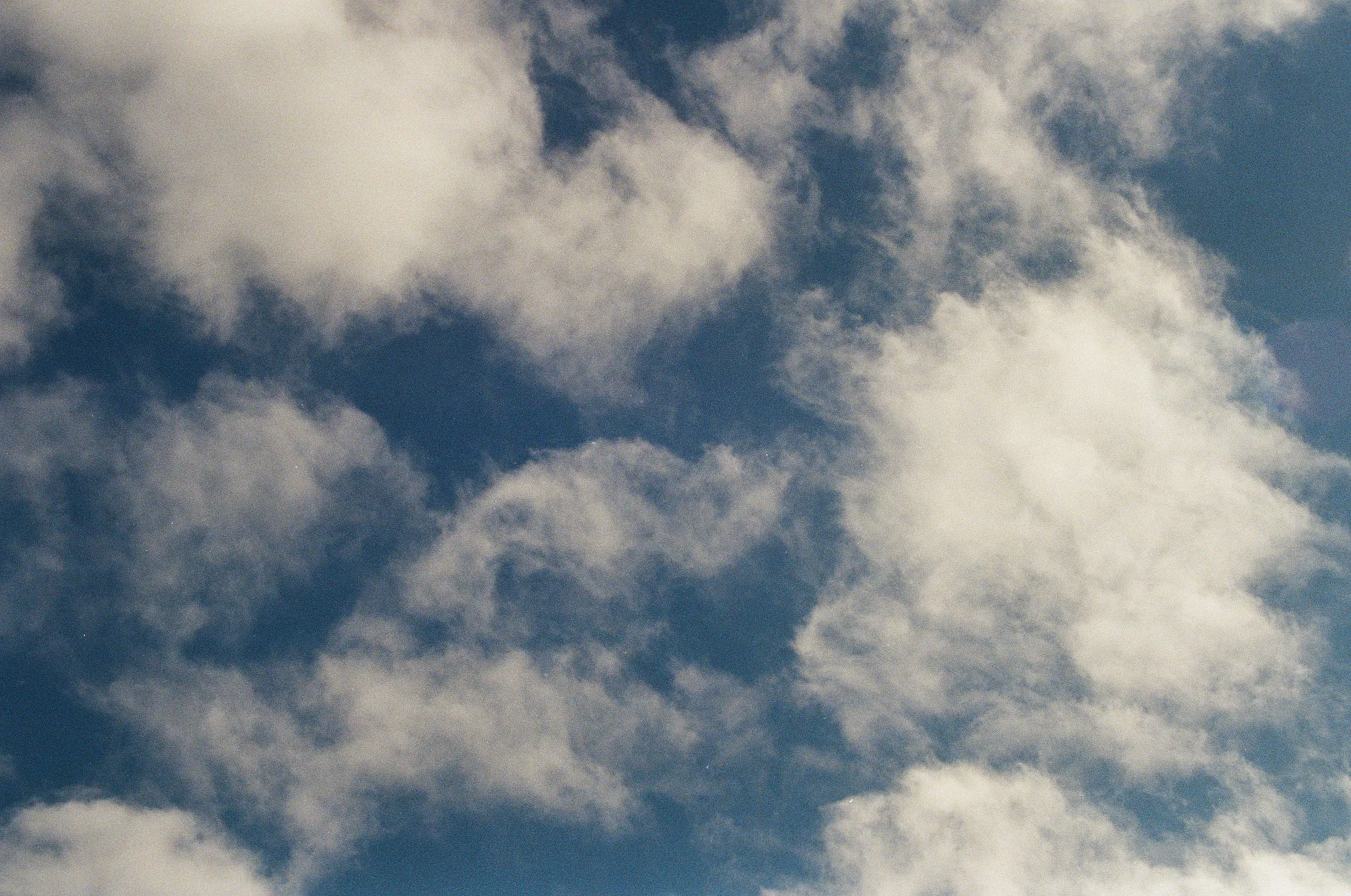 3242_35.jpg