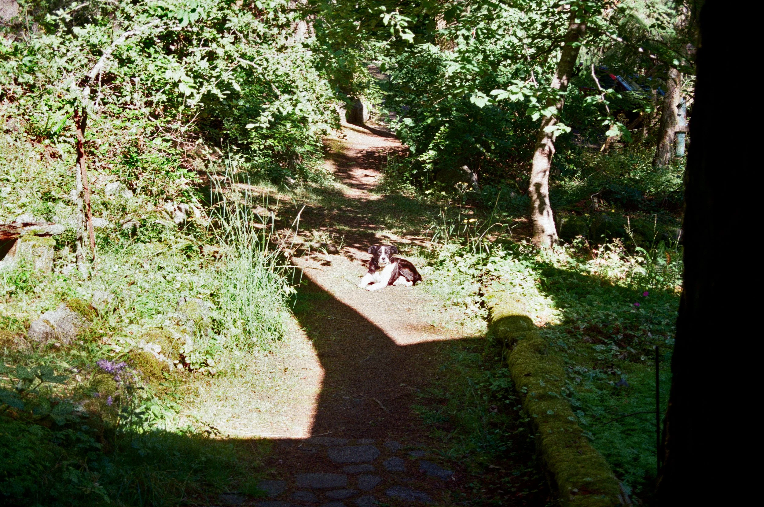 1240_30.jpg