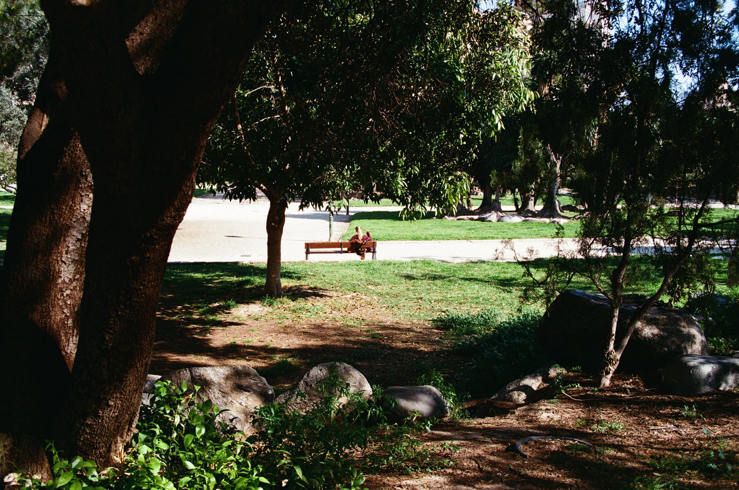 1242_08.jpg