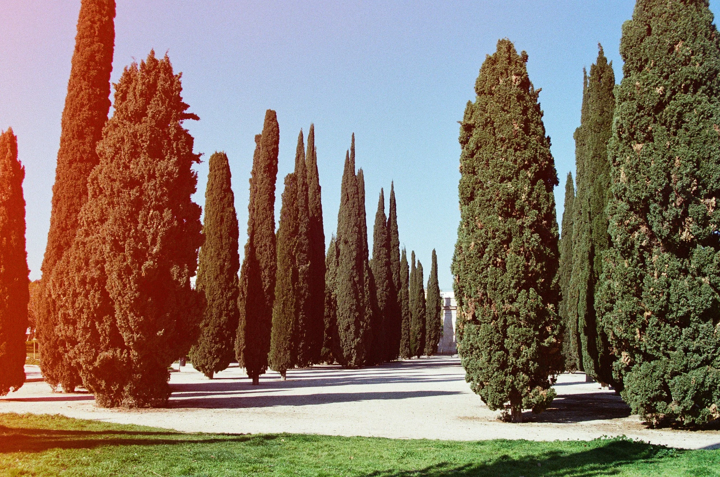 1242_12.jpg