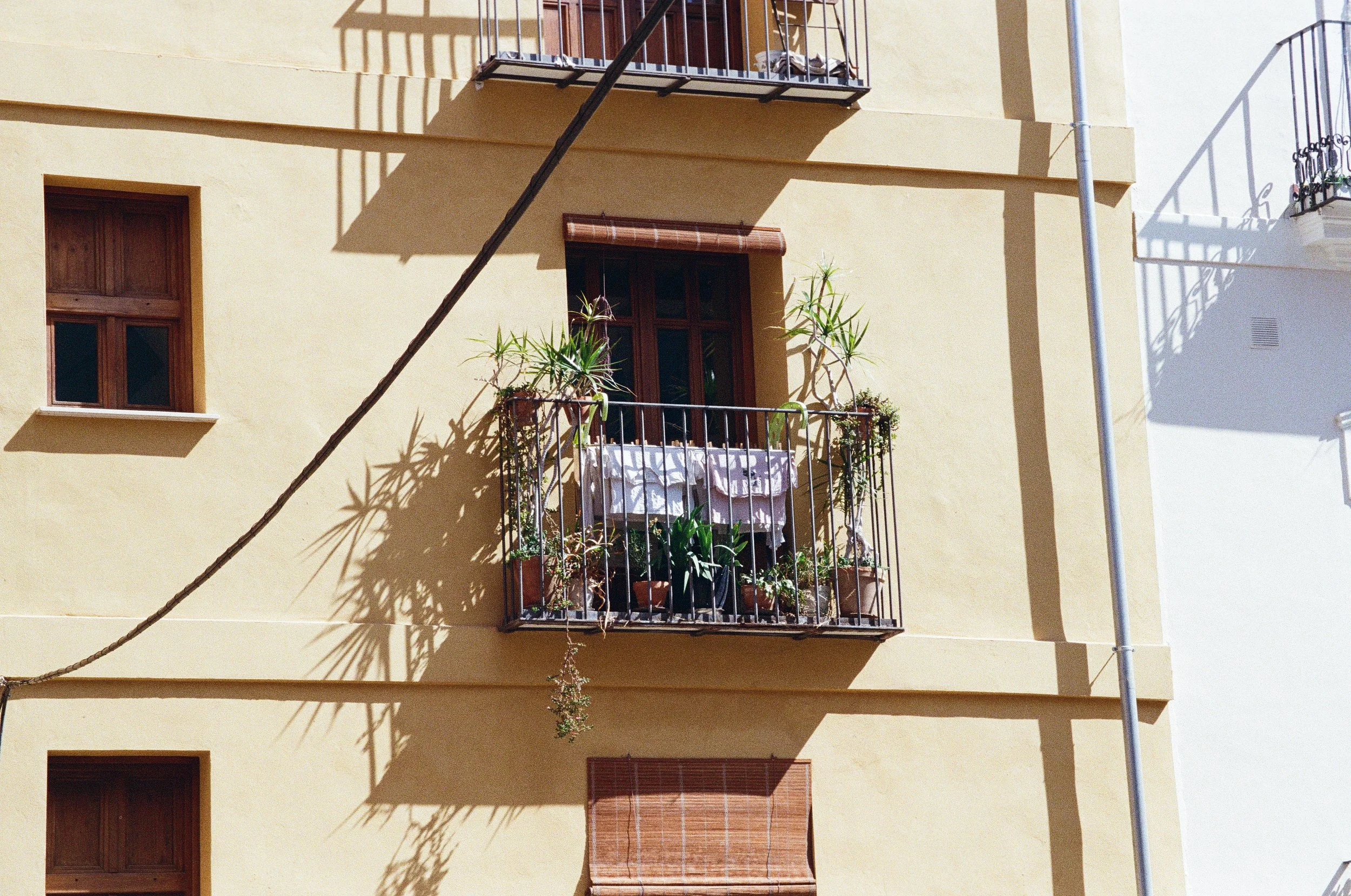 1242_24.jpg
