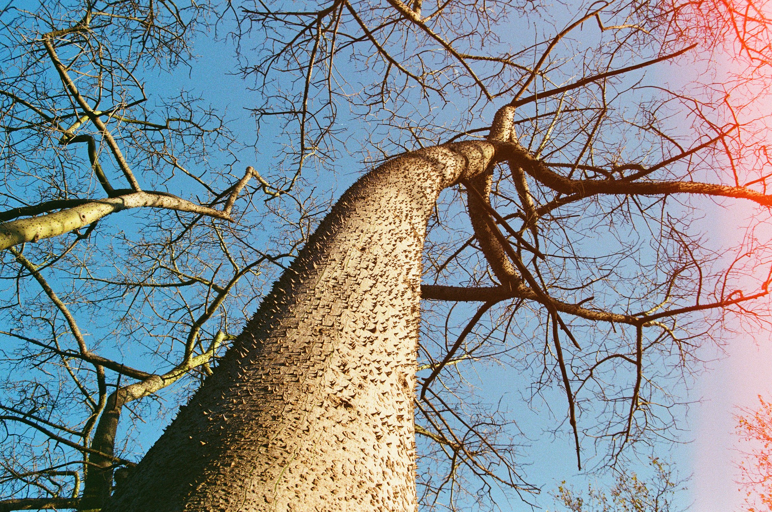 1242_13.jpg