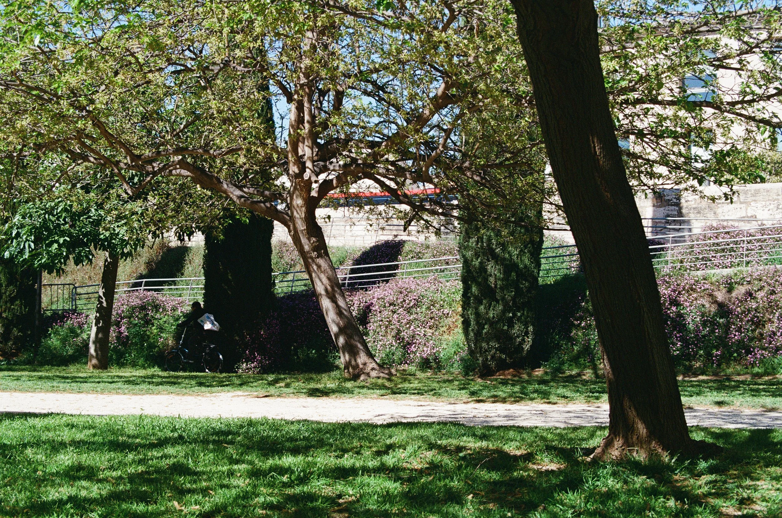 1241_03.jpg