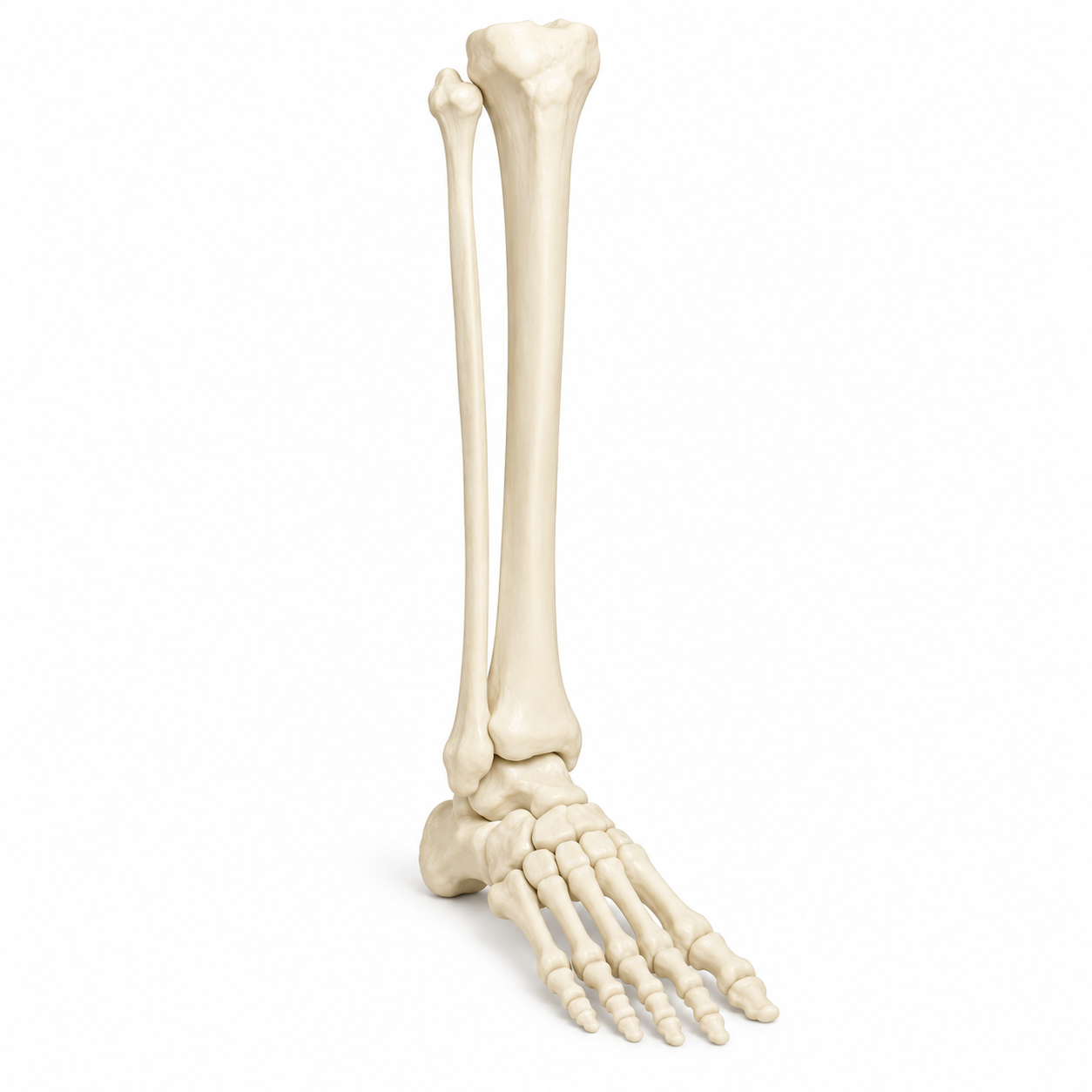 810ABBF6-DE1B-43D2-B498-5DD658B0E564.PNG