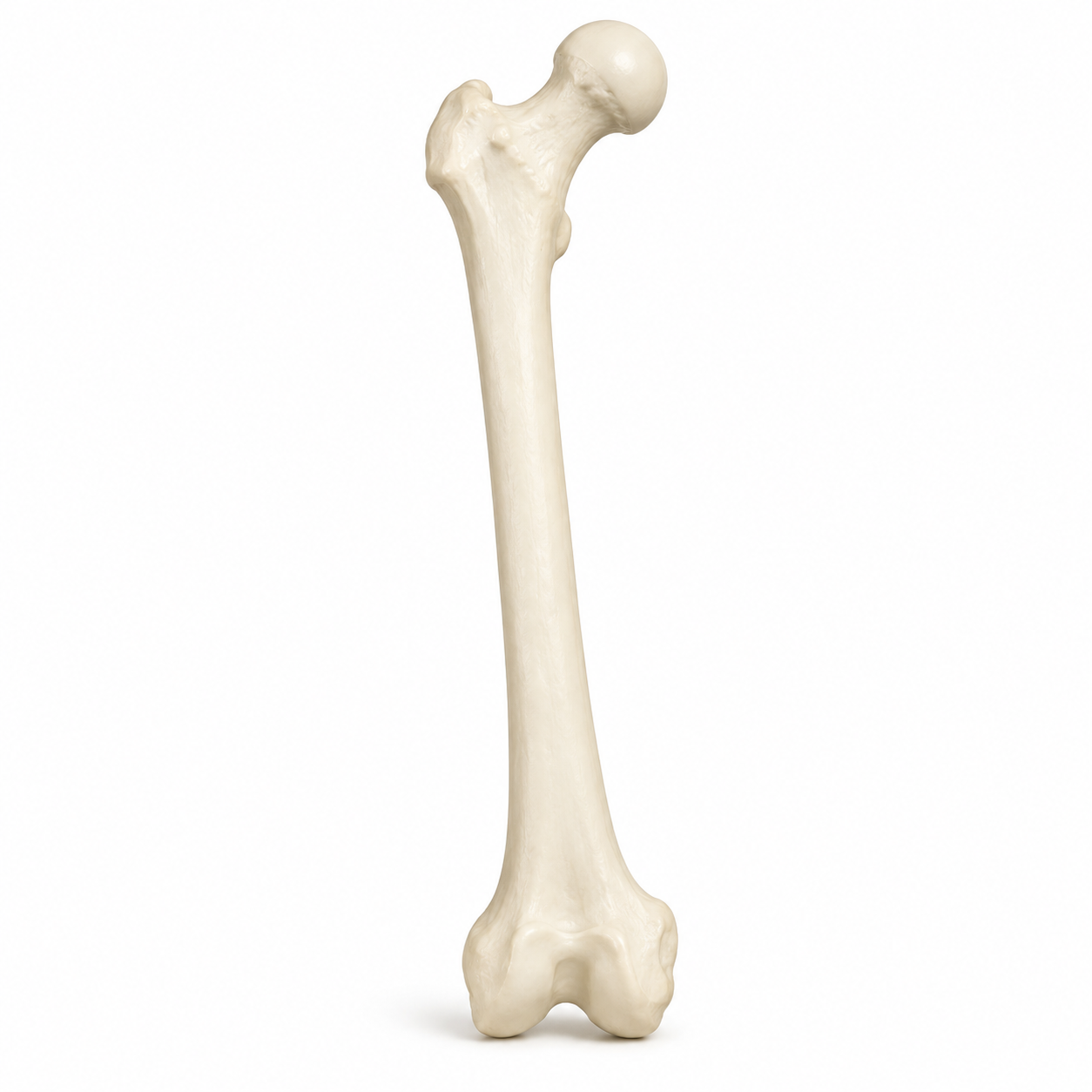 C84509D3-F232-43A9-A001-72CD920D9EC3.PNG