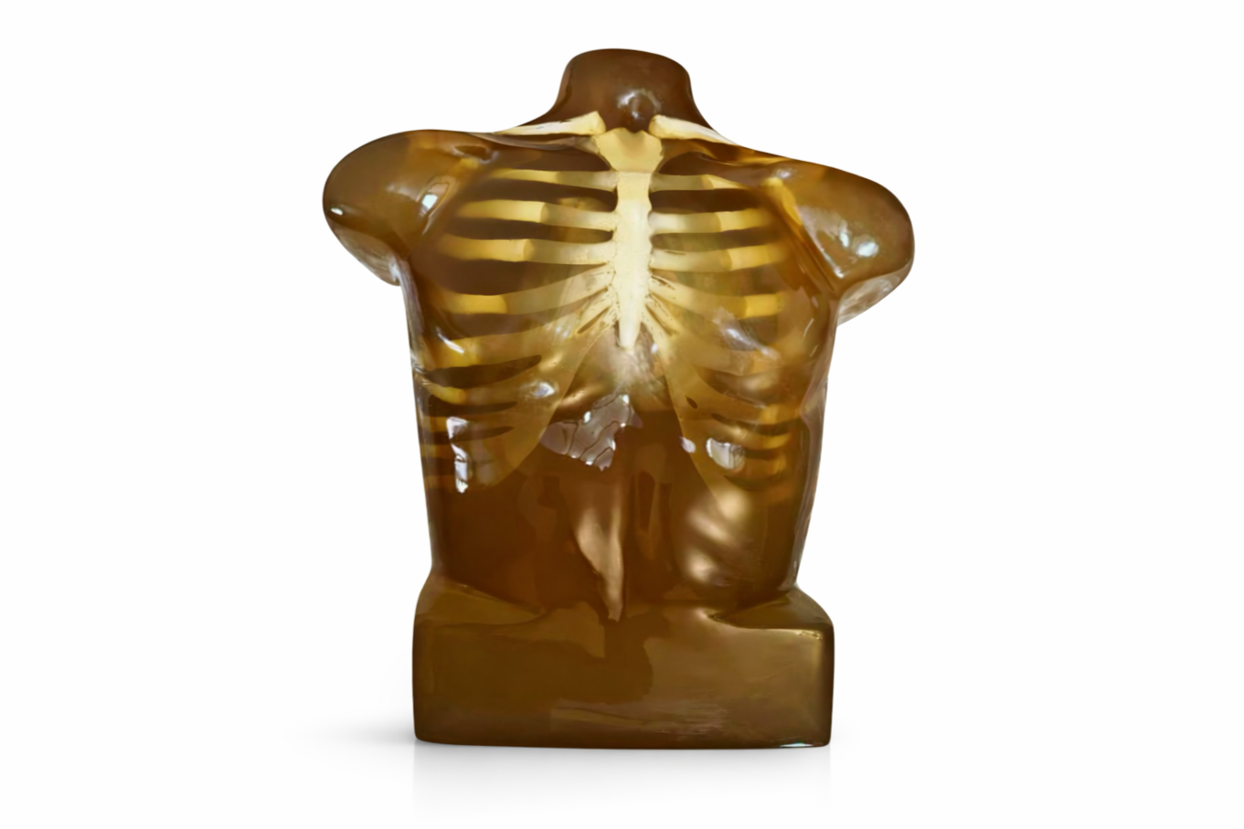 A ballistic dummy torso with skeleton.