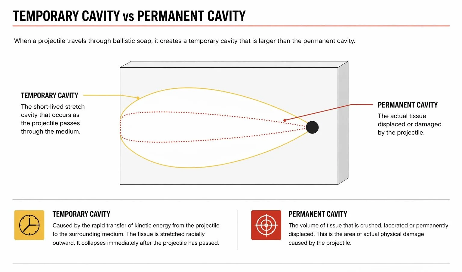Diagram comparing temporary and permanent cavities caused by a projectile, with labels explaining each type and their differences.