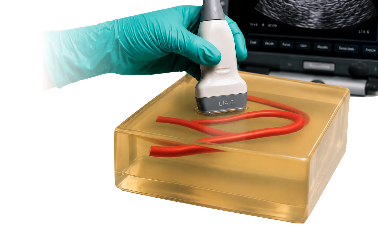 Cheap Ultrasound Phantom made from ballistic gel.