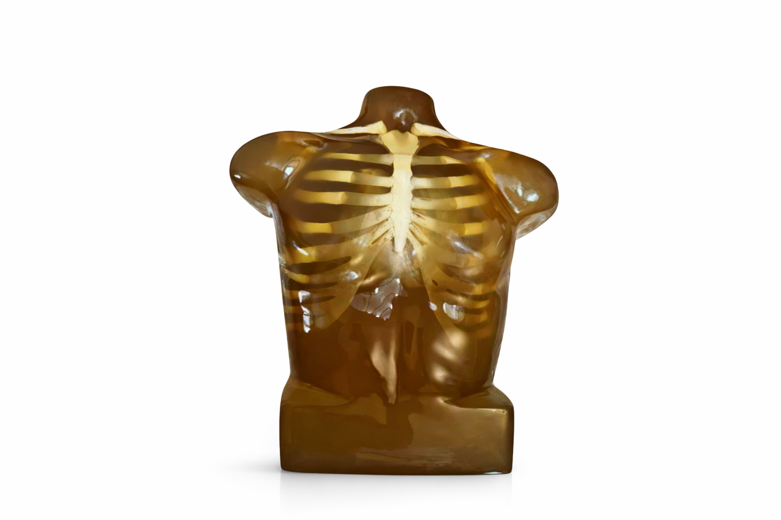 A ballistic dummy torso with skeleton.