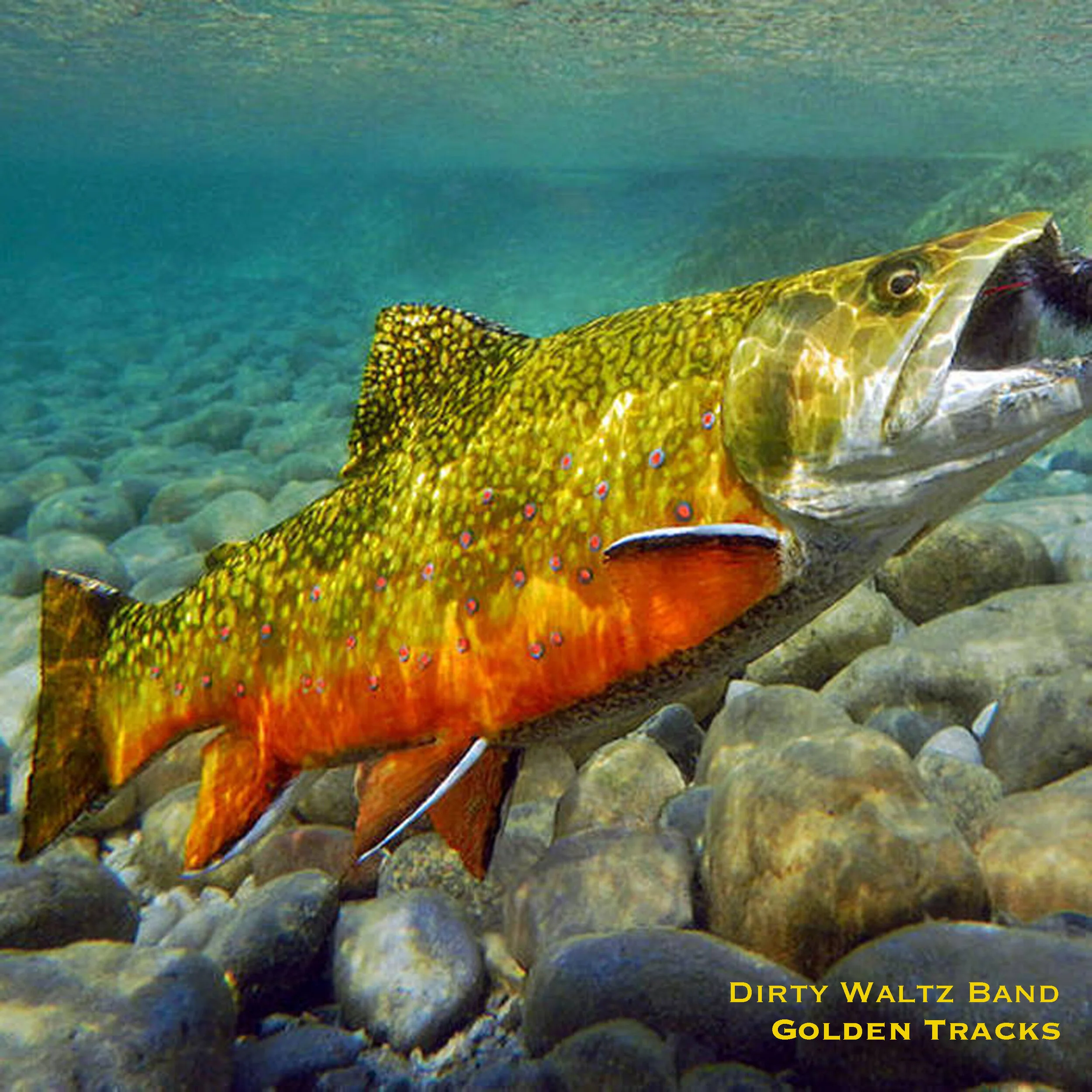 New Album from Dirty Waltz Band