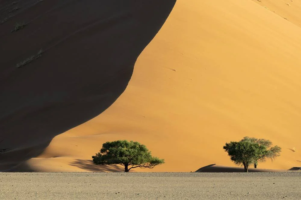 Bildervortrag: Namibia - Tour d'Horizon, Silvia Trüssel