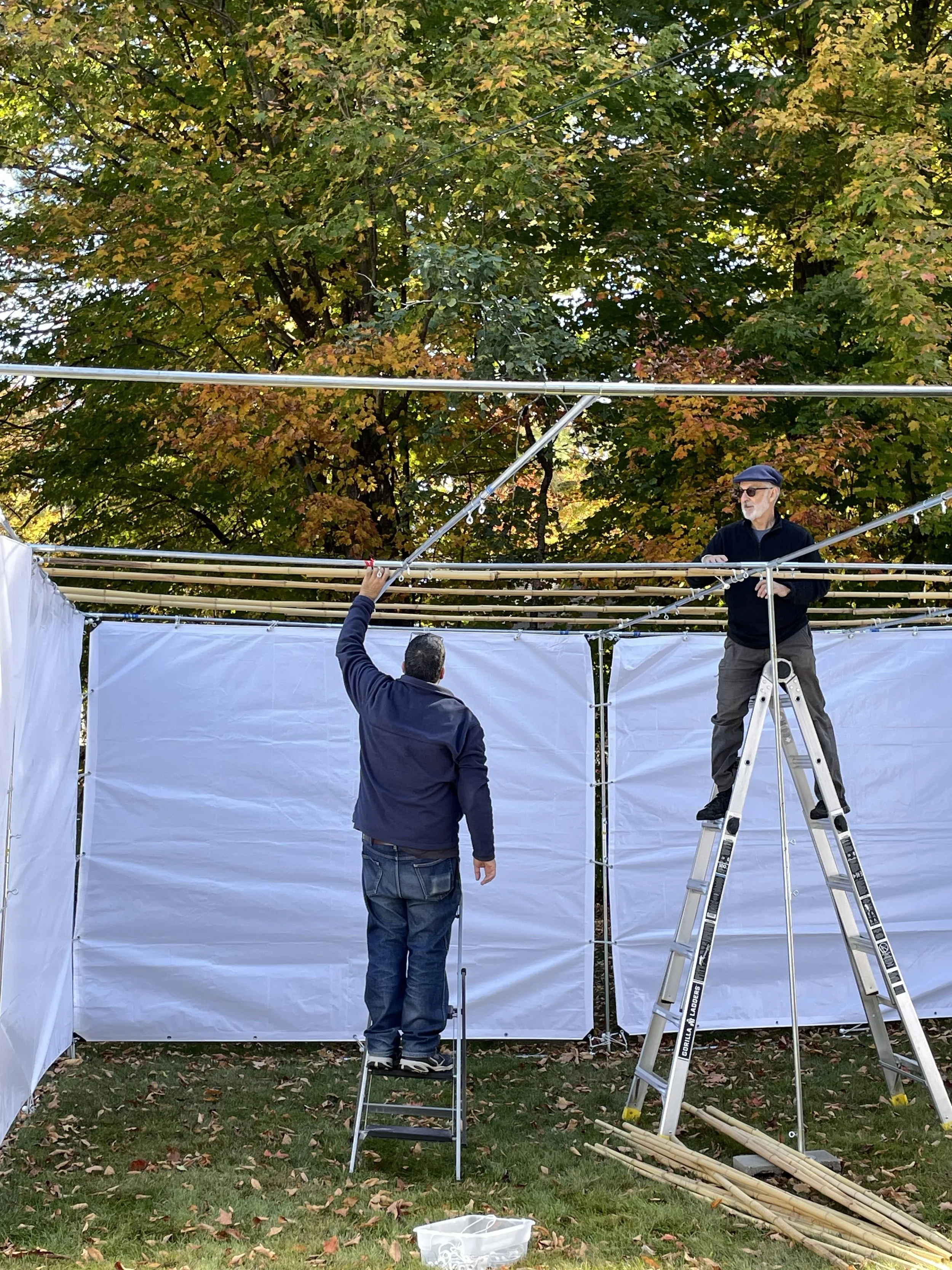 Jacki sukkot 2025_1645.jpeg