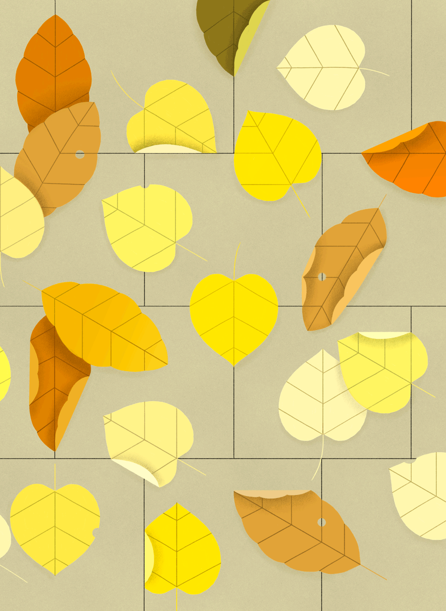 Autumn pattern