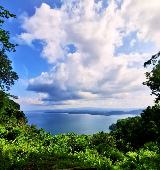 Panorama über grüne Landschaft hin zum offenen Meer