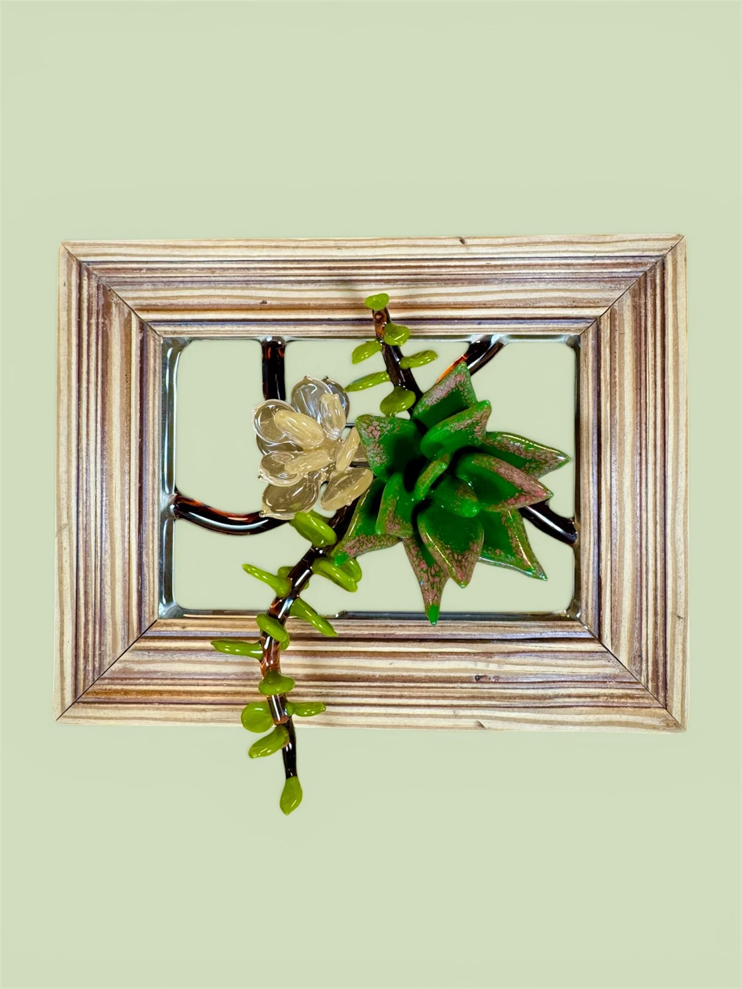 Framed Succulent Cluster