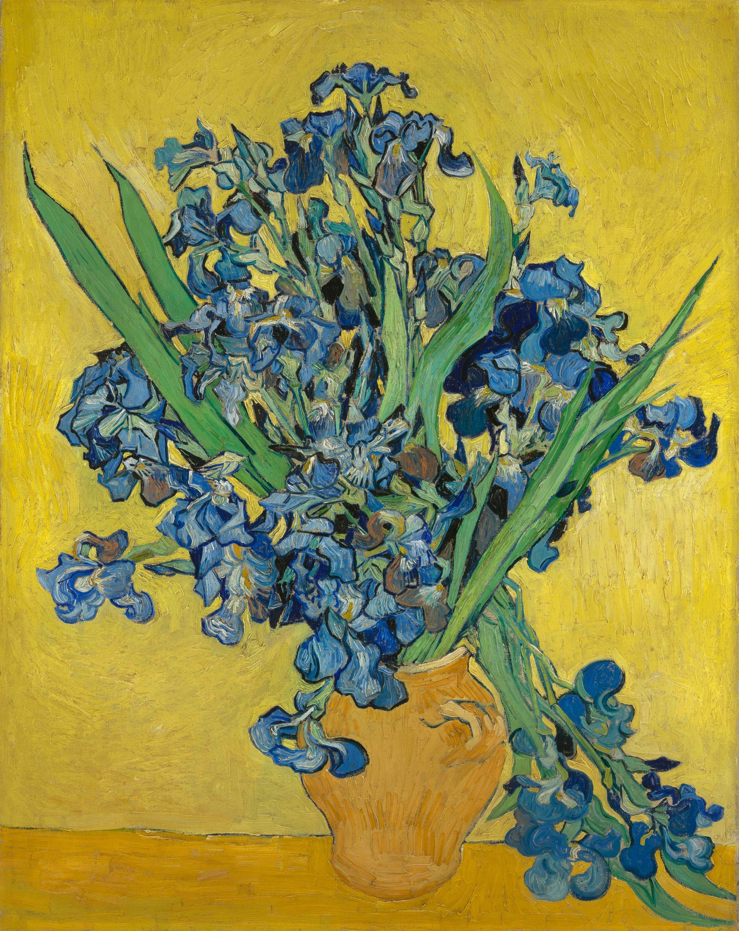 VanGogh-Irises.jpg
