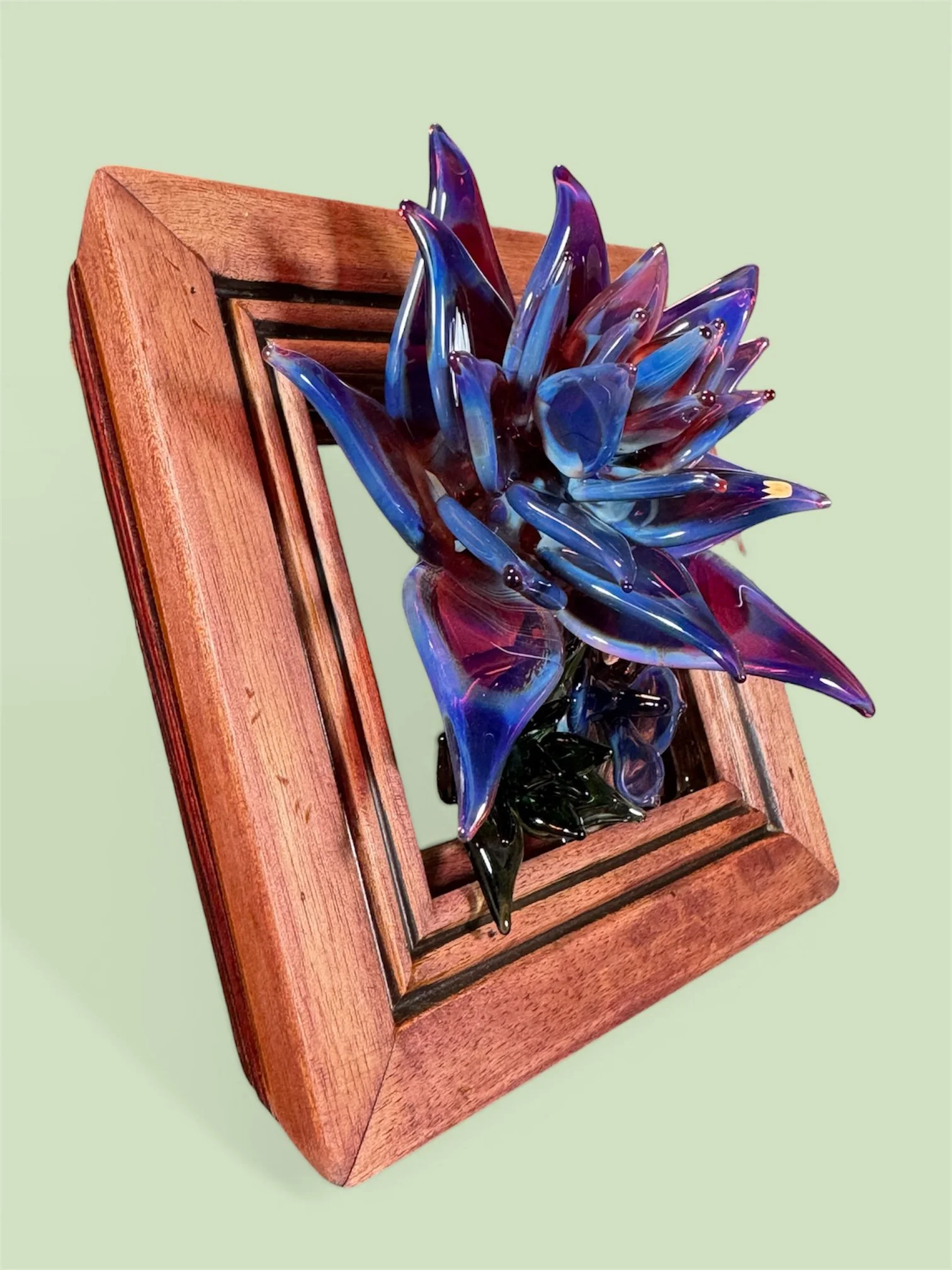 Photoroom_20260412_122433 (1).JPG