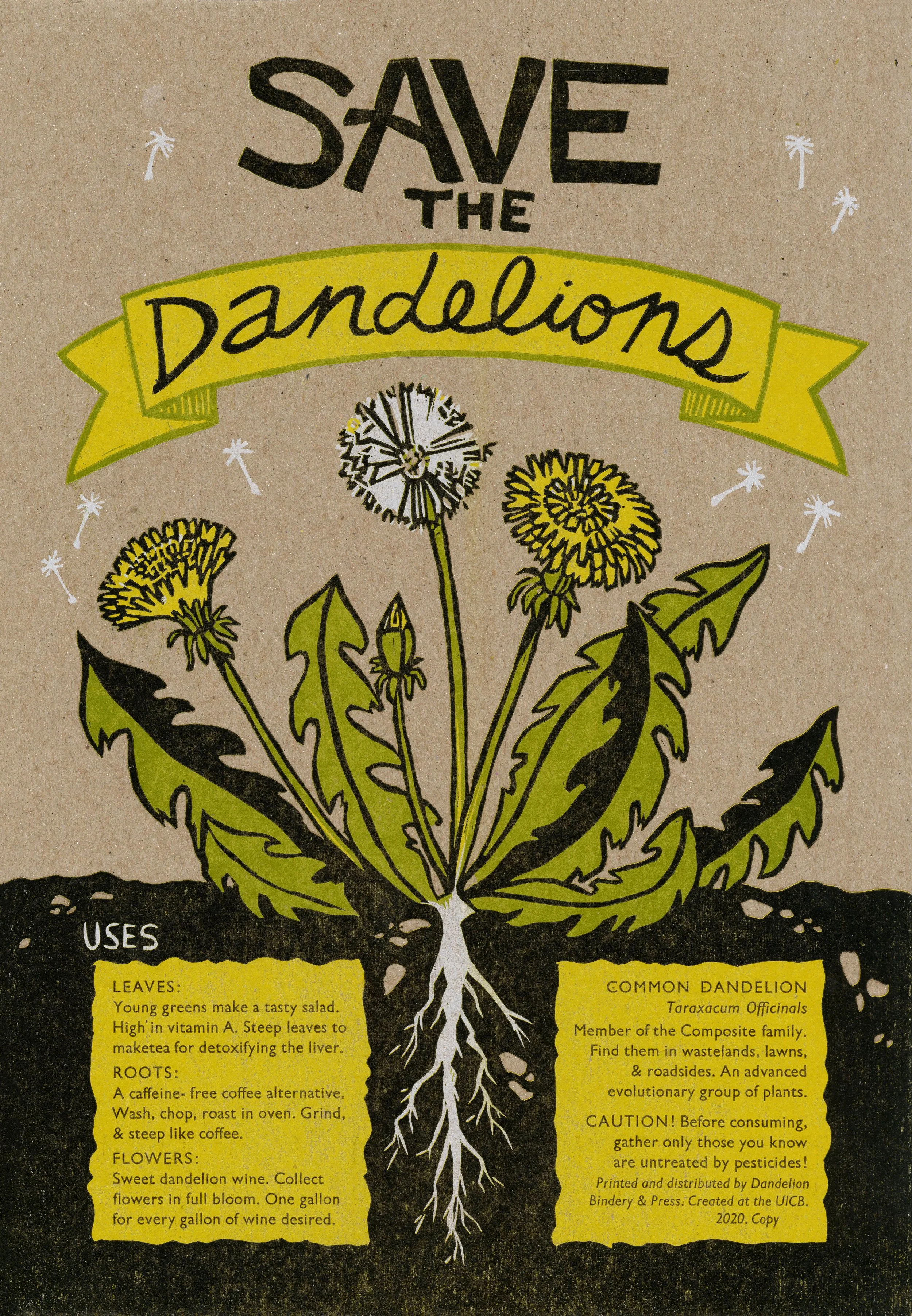save the dandelions_300.jpg