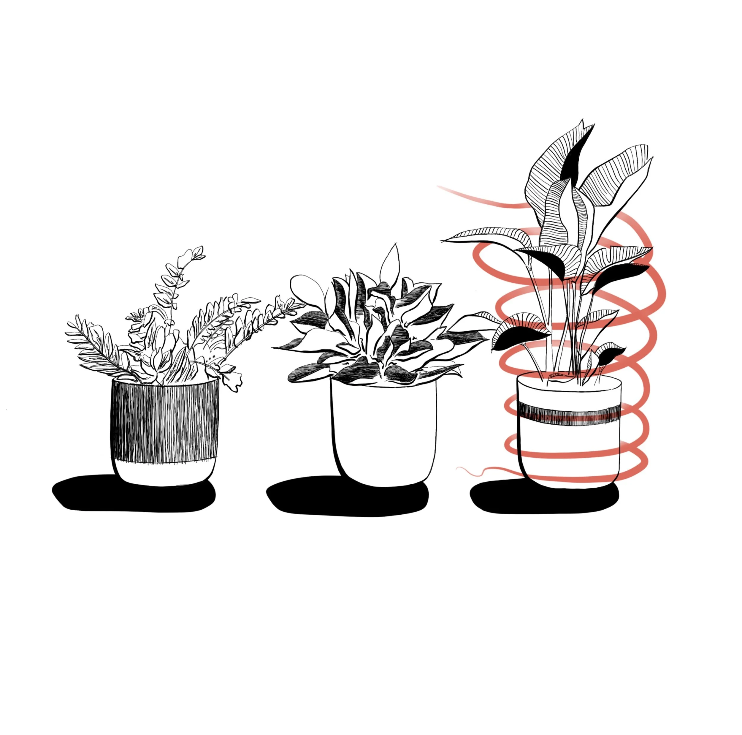 Using Air Purifying elements in your home