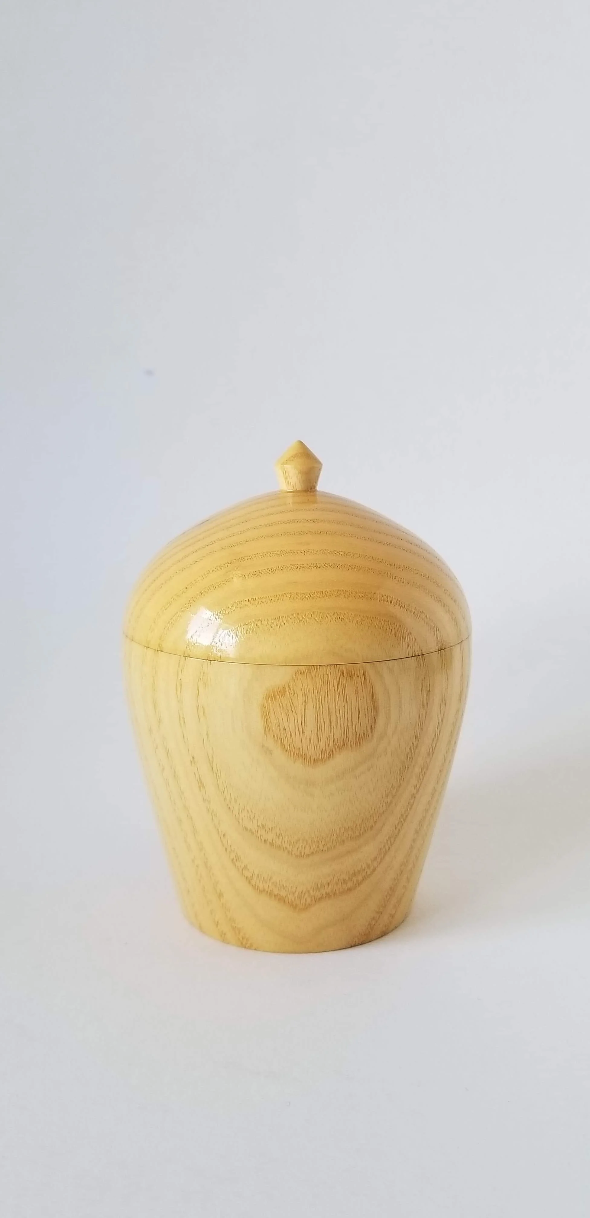 Hot Air Balloon 3.jpeg