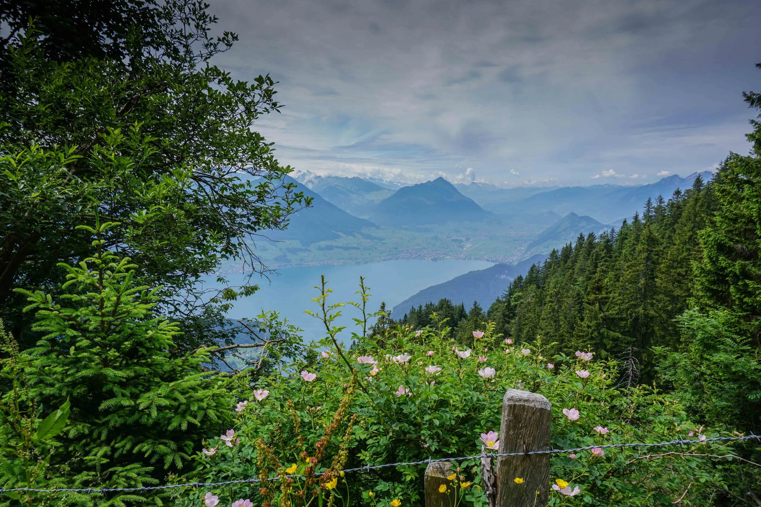 Rigi-7.jpg