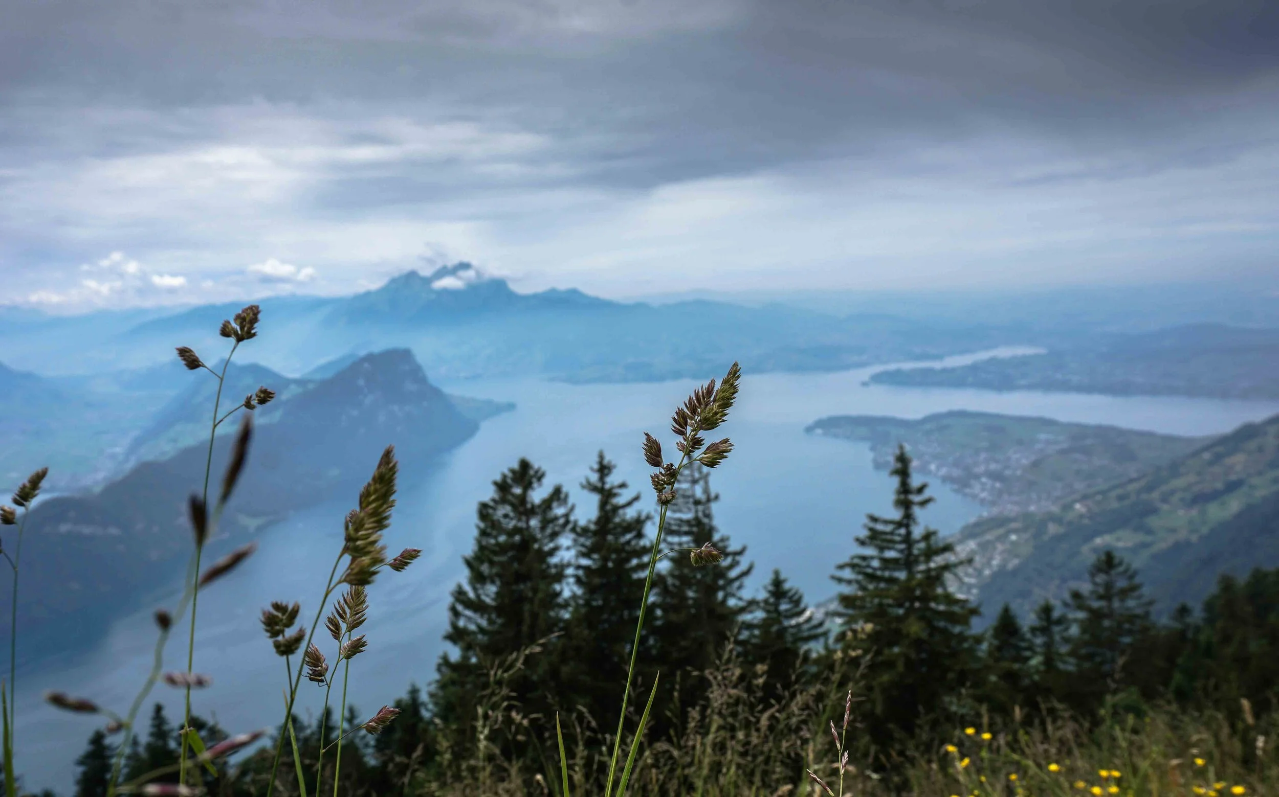 Rigi-11.jpg