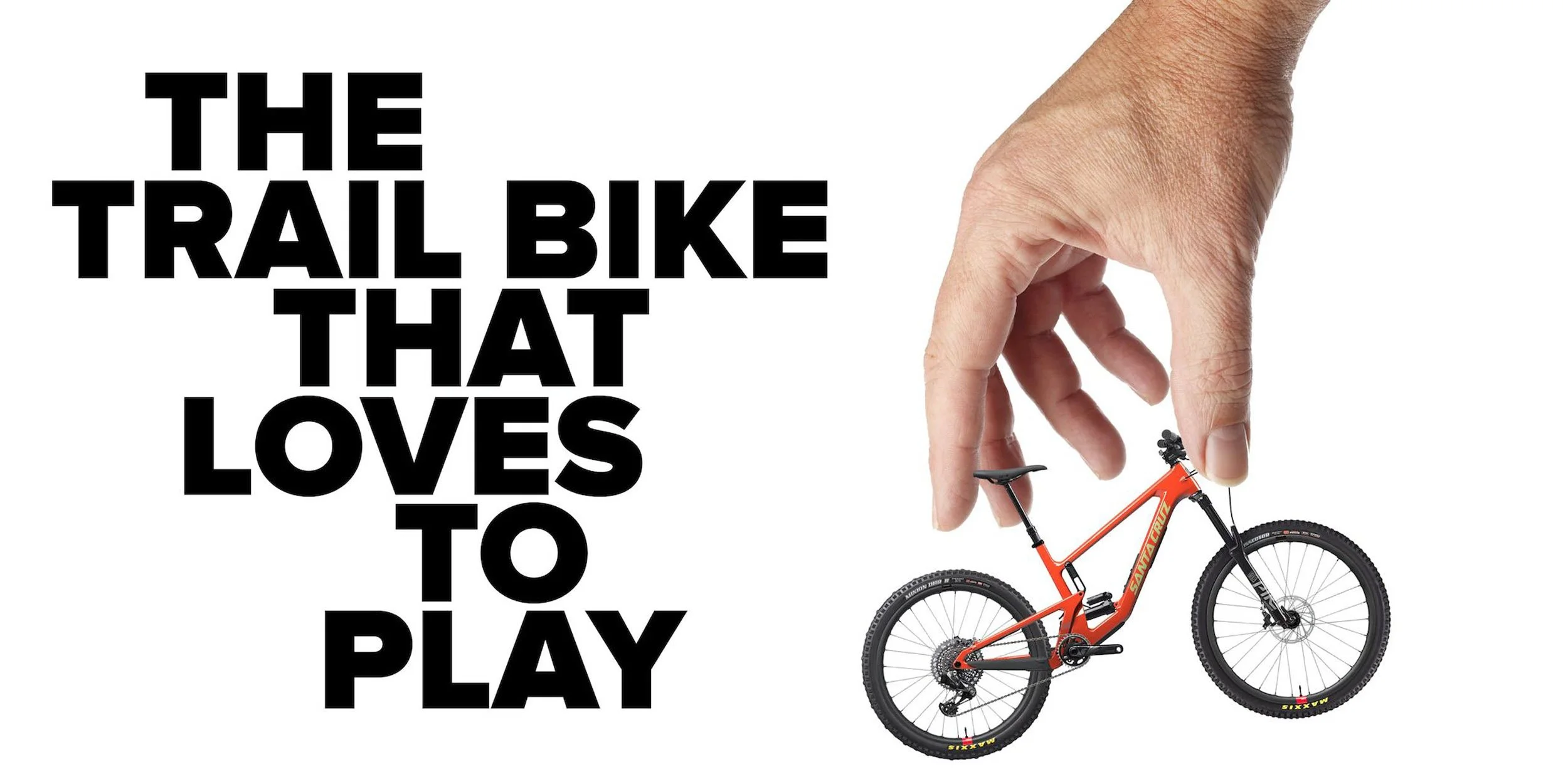 808 State and Santa Cruz Bikes