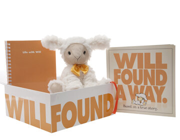 Will Full Set with book at side 2015 small.jpg