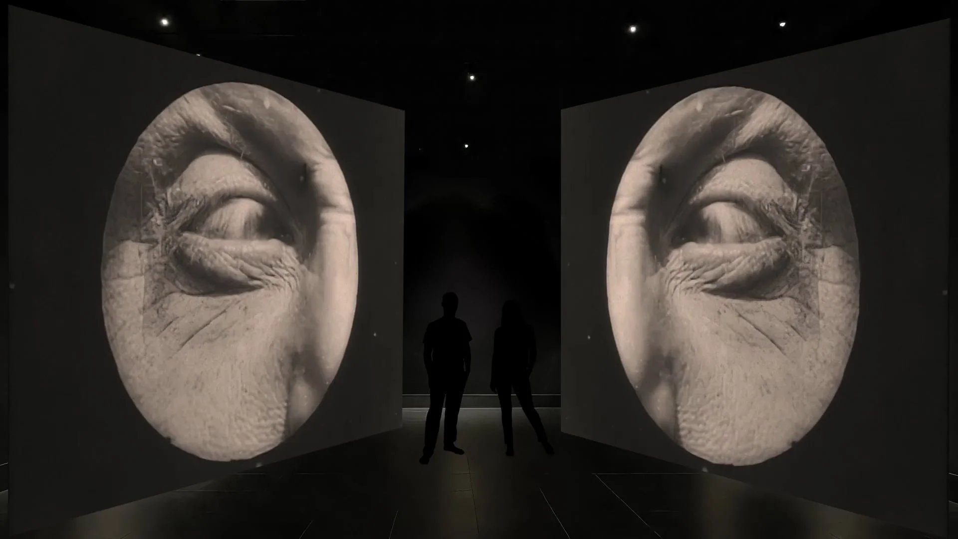 MUSEO DEL 900 - FANTASMAGORIA FUTURISTA