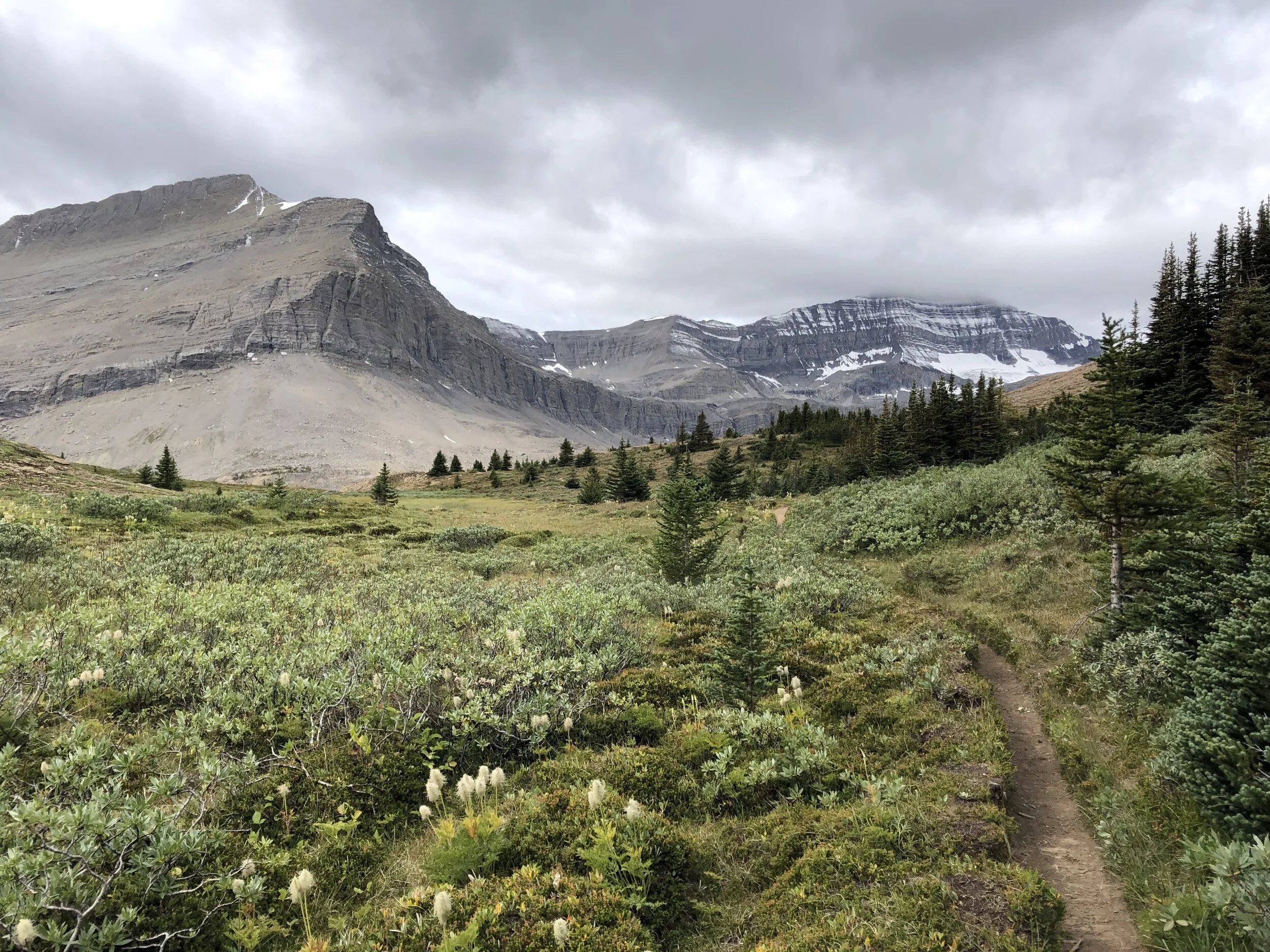 The Tenderness of Surrender