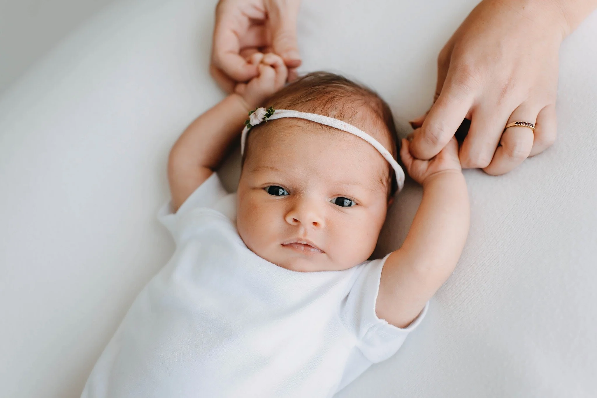 Frankfort Newborn Photographer