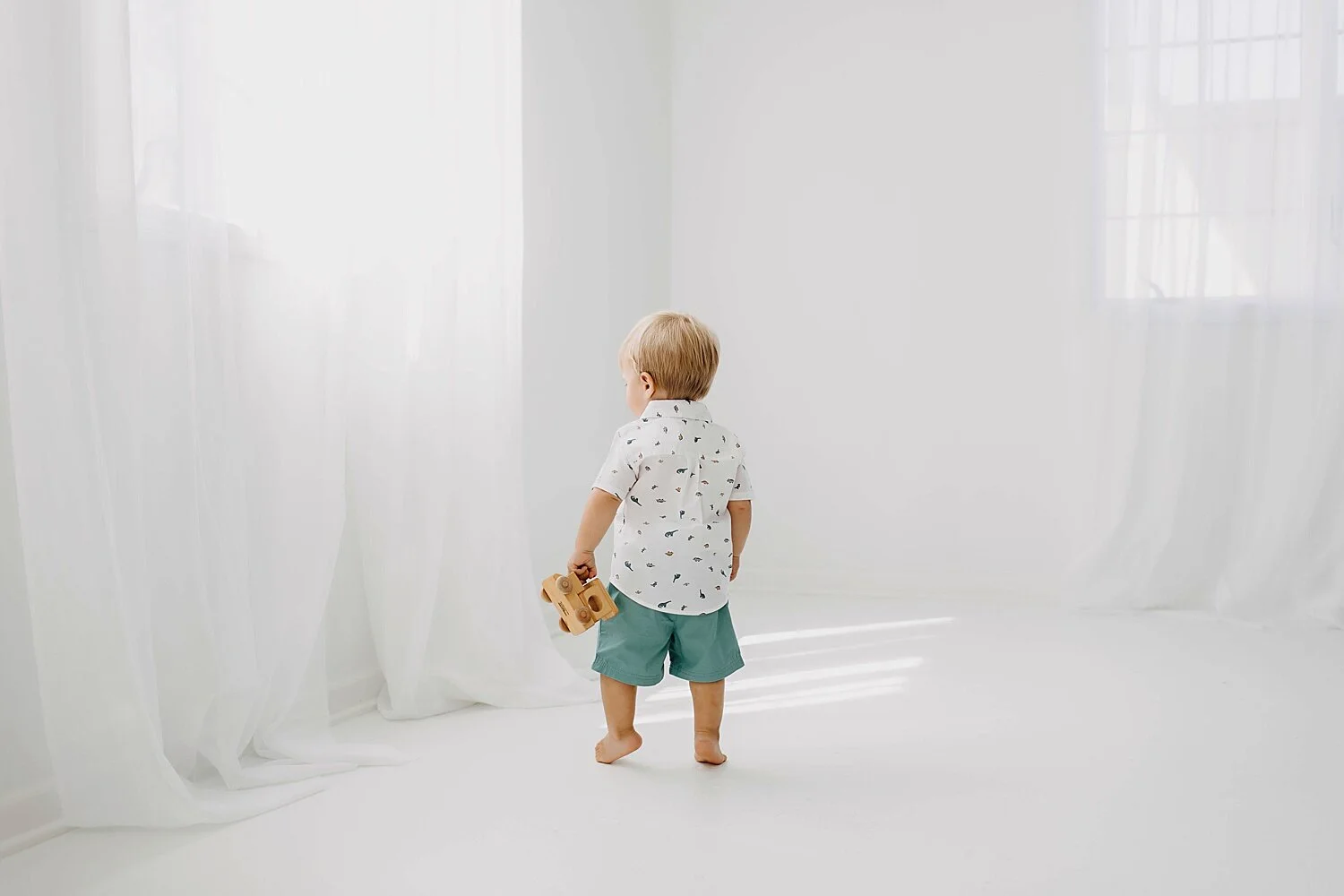 New Lenox Family Photographer