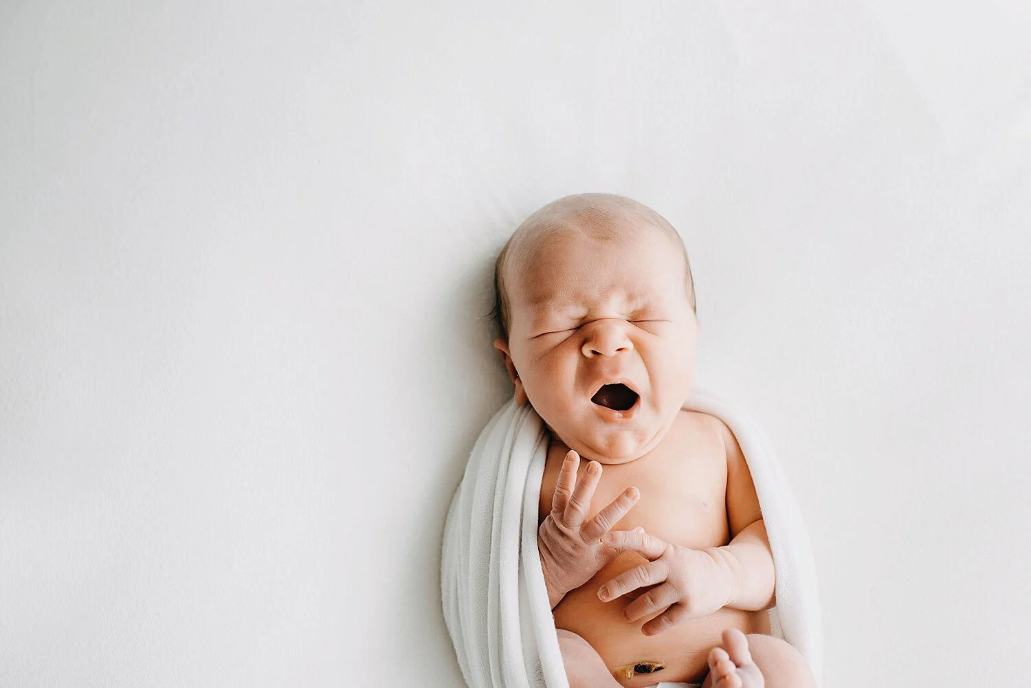 Frankfort, IL Newborn Photographer