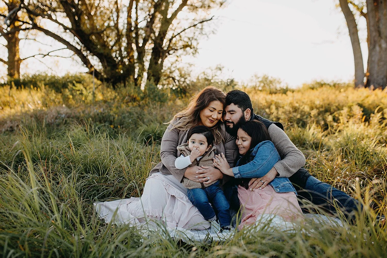 Chicago, IL Family Photographer