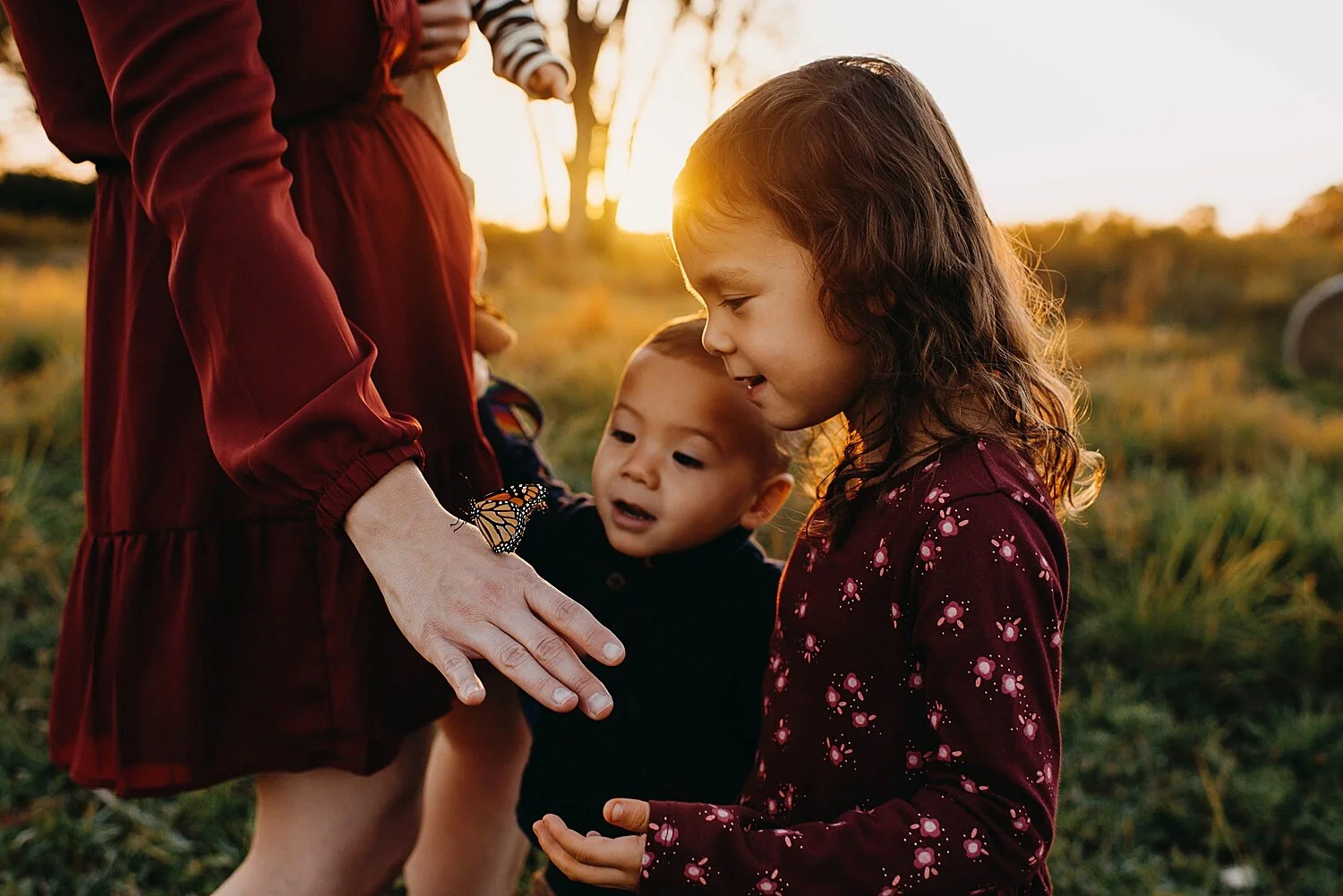 Western Springs, IL Family Photographer