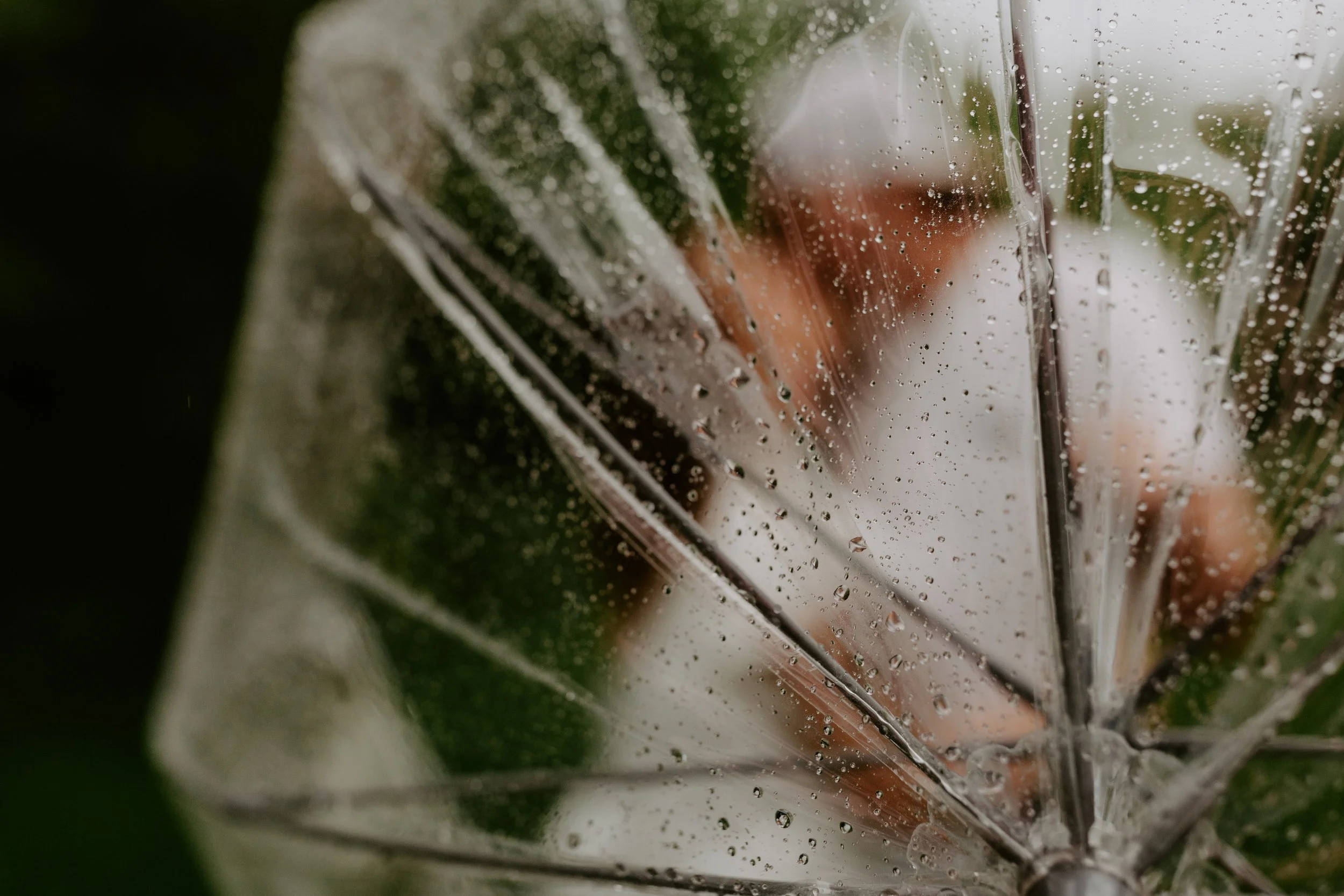 When Mother Nature Crashes Your Photo Session Party π§οΈ