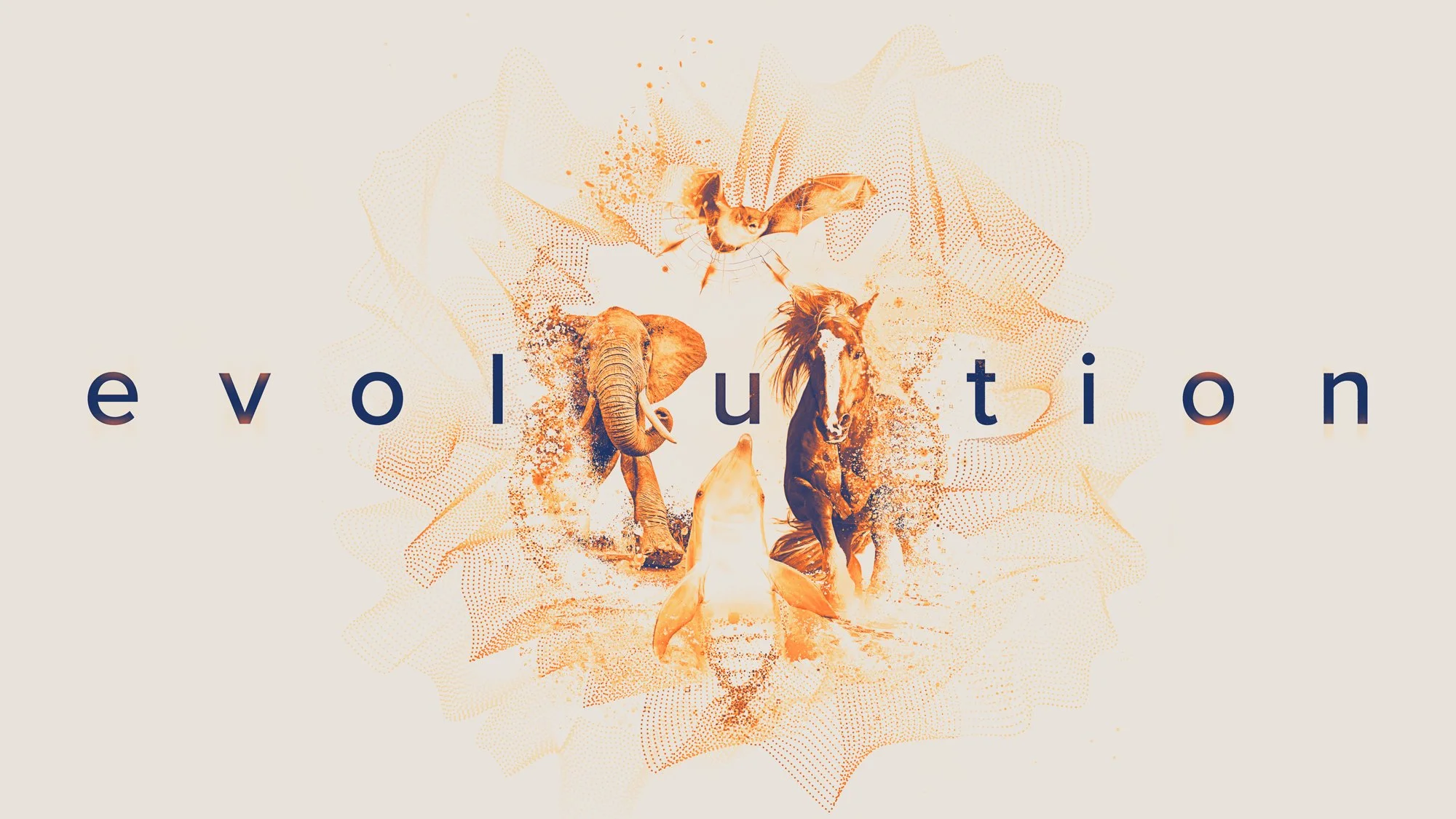 Evolution_B_wo-ostrich-new-shape-inverted-col-1.jpg