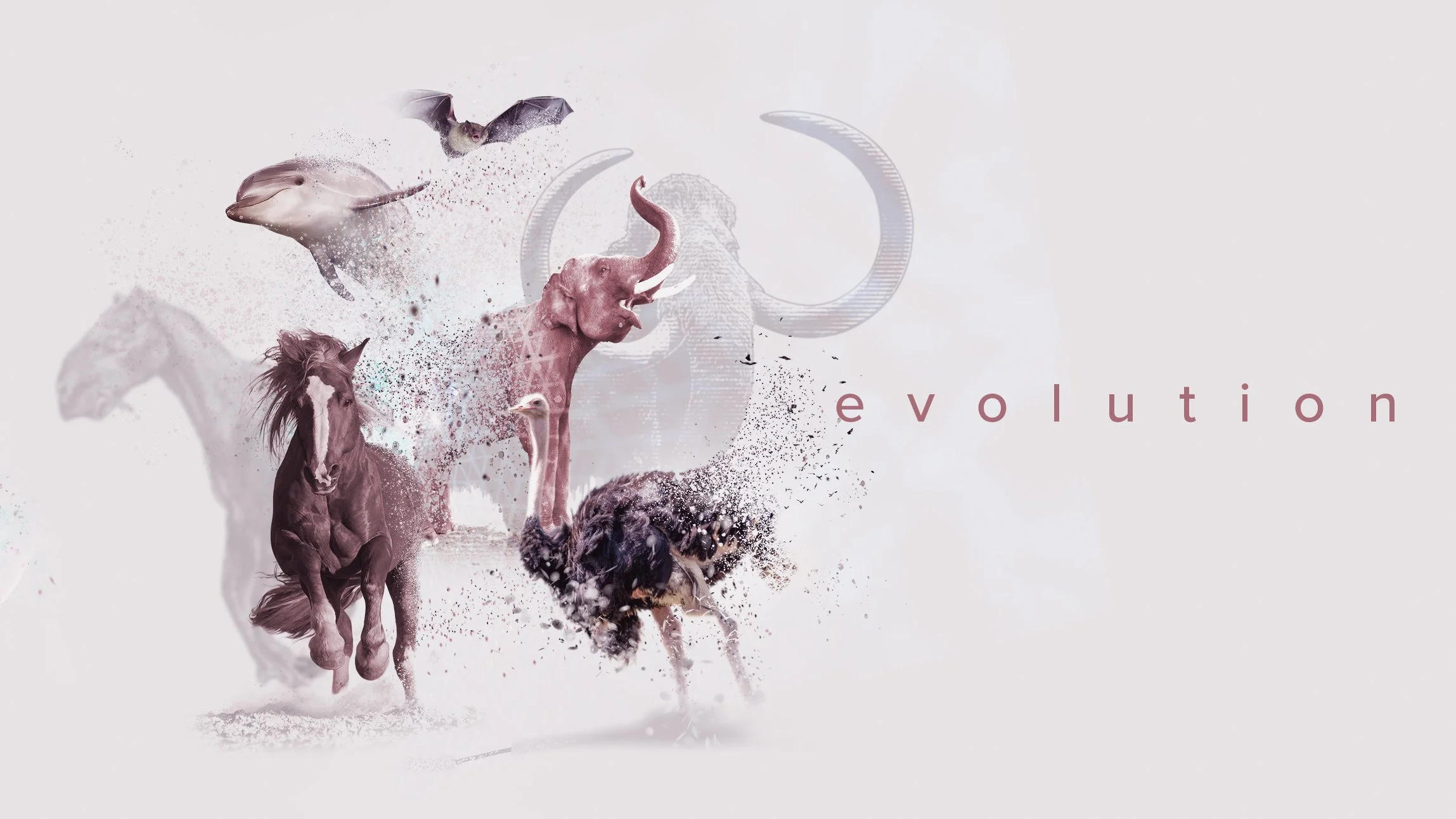 evolution_C_16x9-v2.jpg