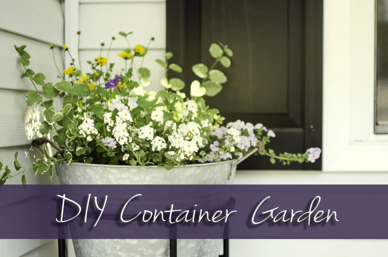 DIY Container Garden