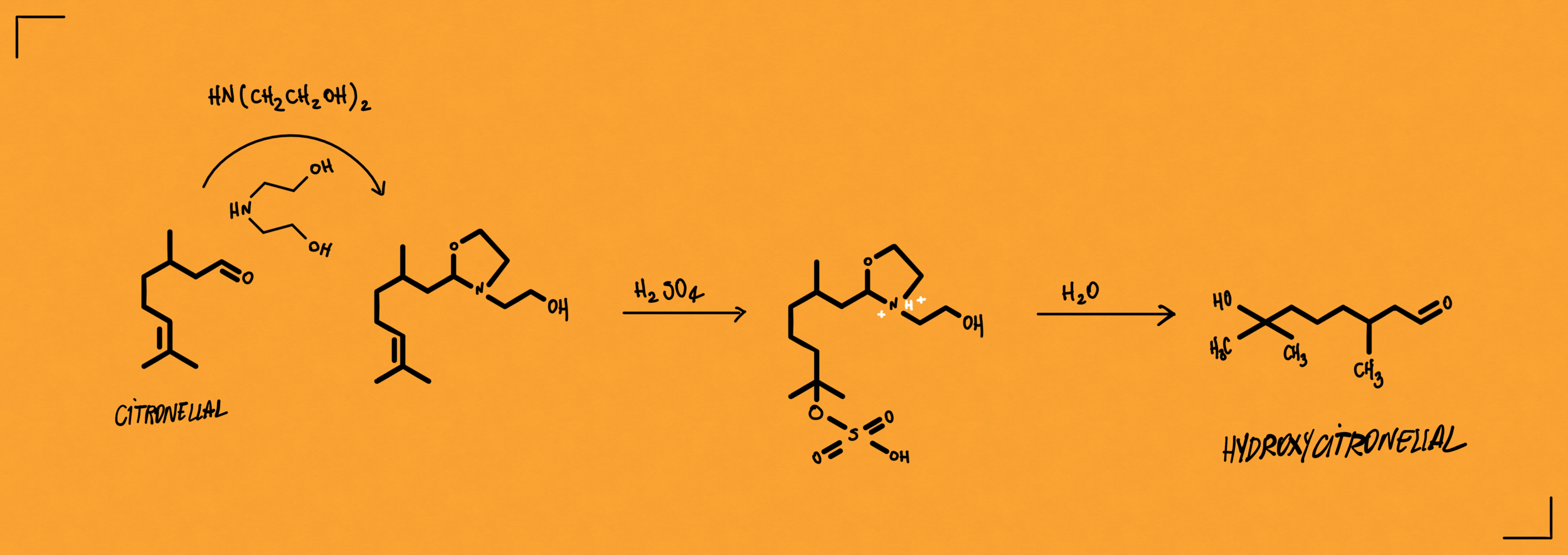 Hydroxycitronellal (107-75-5) – Premium Synthetic Ingredient for ...