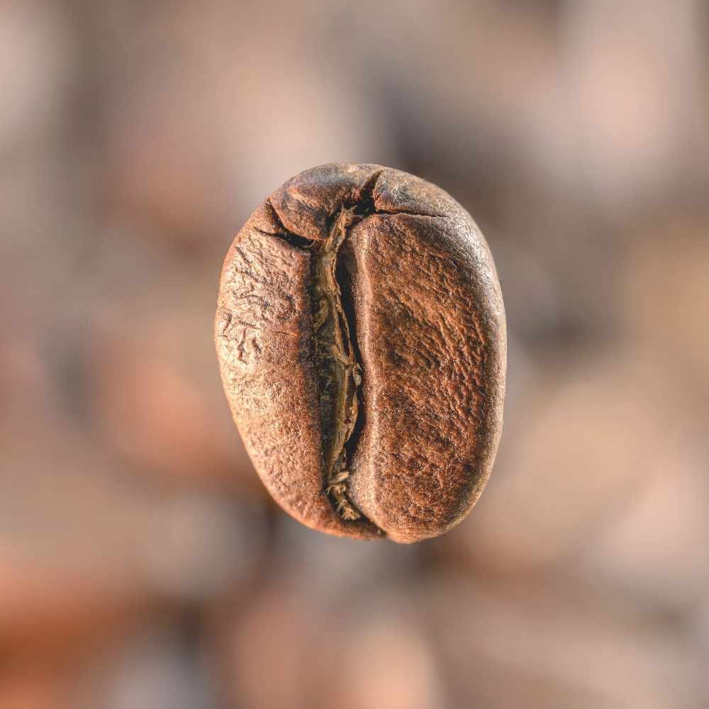 coffee-co2-organic-total-extract-roasted-coffee-bean.jpg