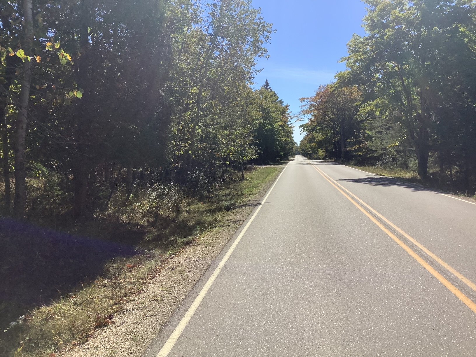 image5.jpeg